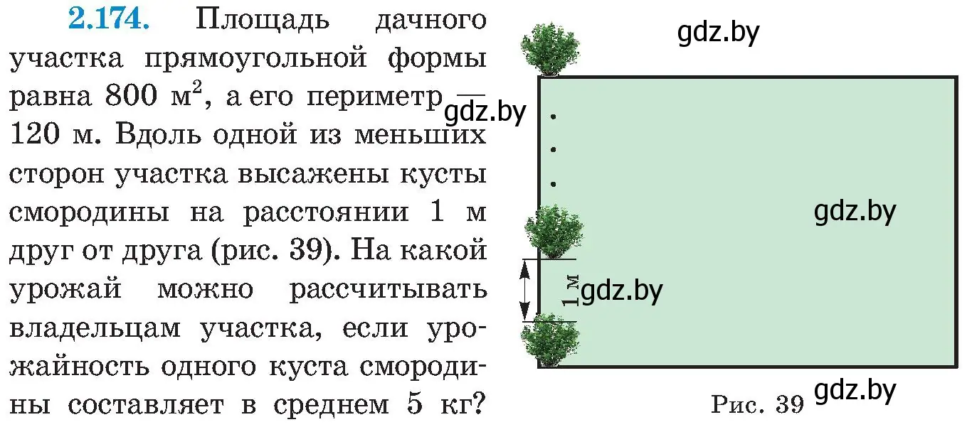 Условие номер 2.174 (страница 136) гдз по алгебре 8 класс Арефьева, Пирютко, учебник