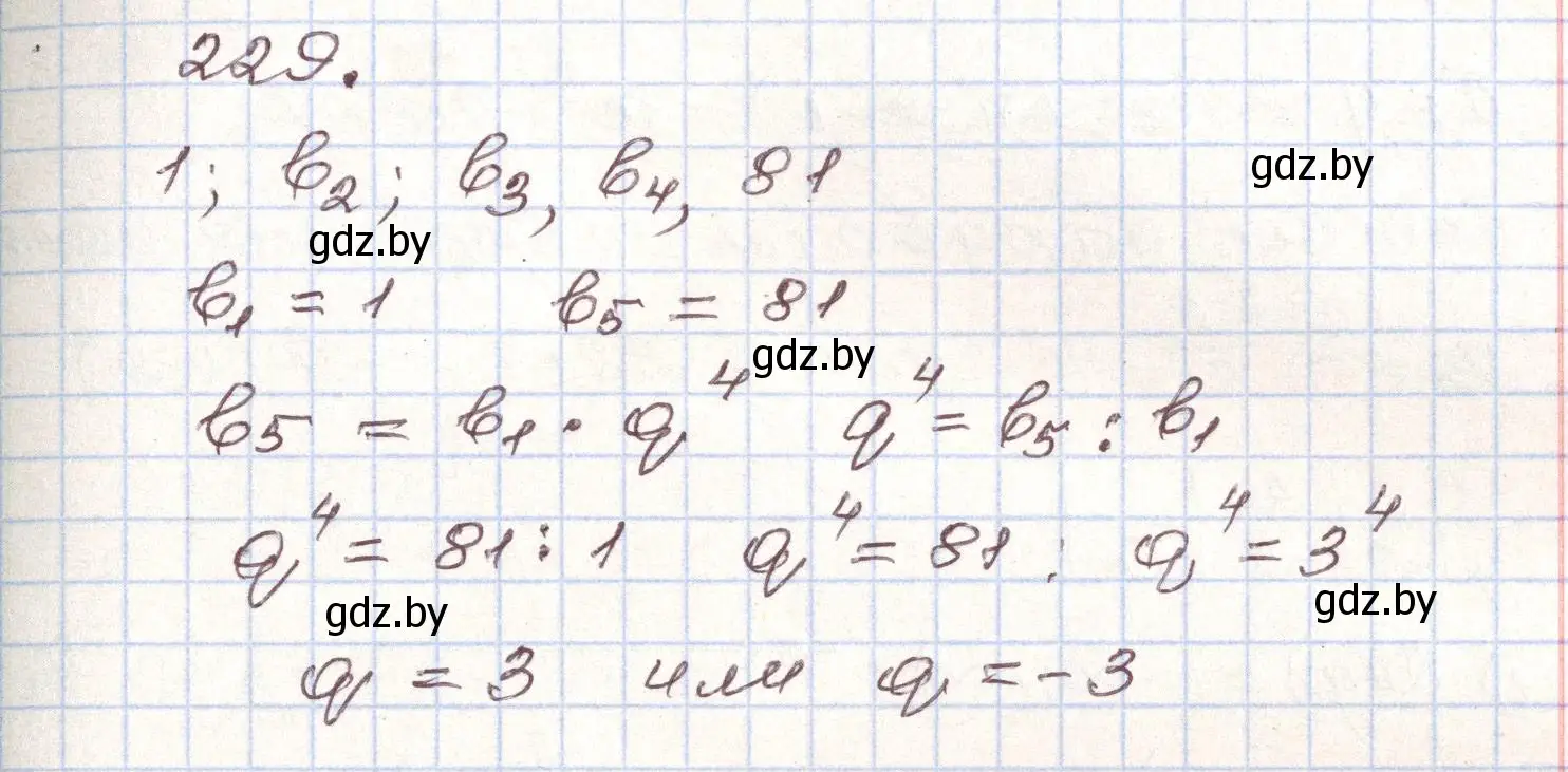 Решение номер 229 (страница 289) гдз по алгебре 9 класс Арефьева, Пирютко, учебник
