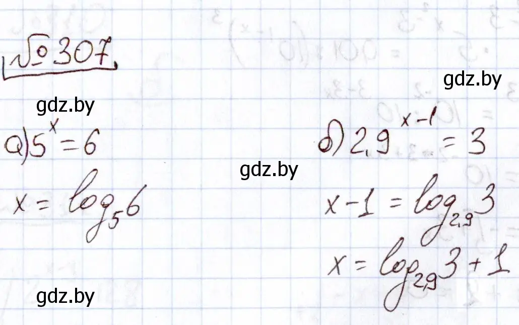 Решение номер 307 (страница 204) гдз по алгебре 11 класс Арефьева, Пирютко, учебник
