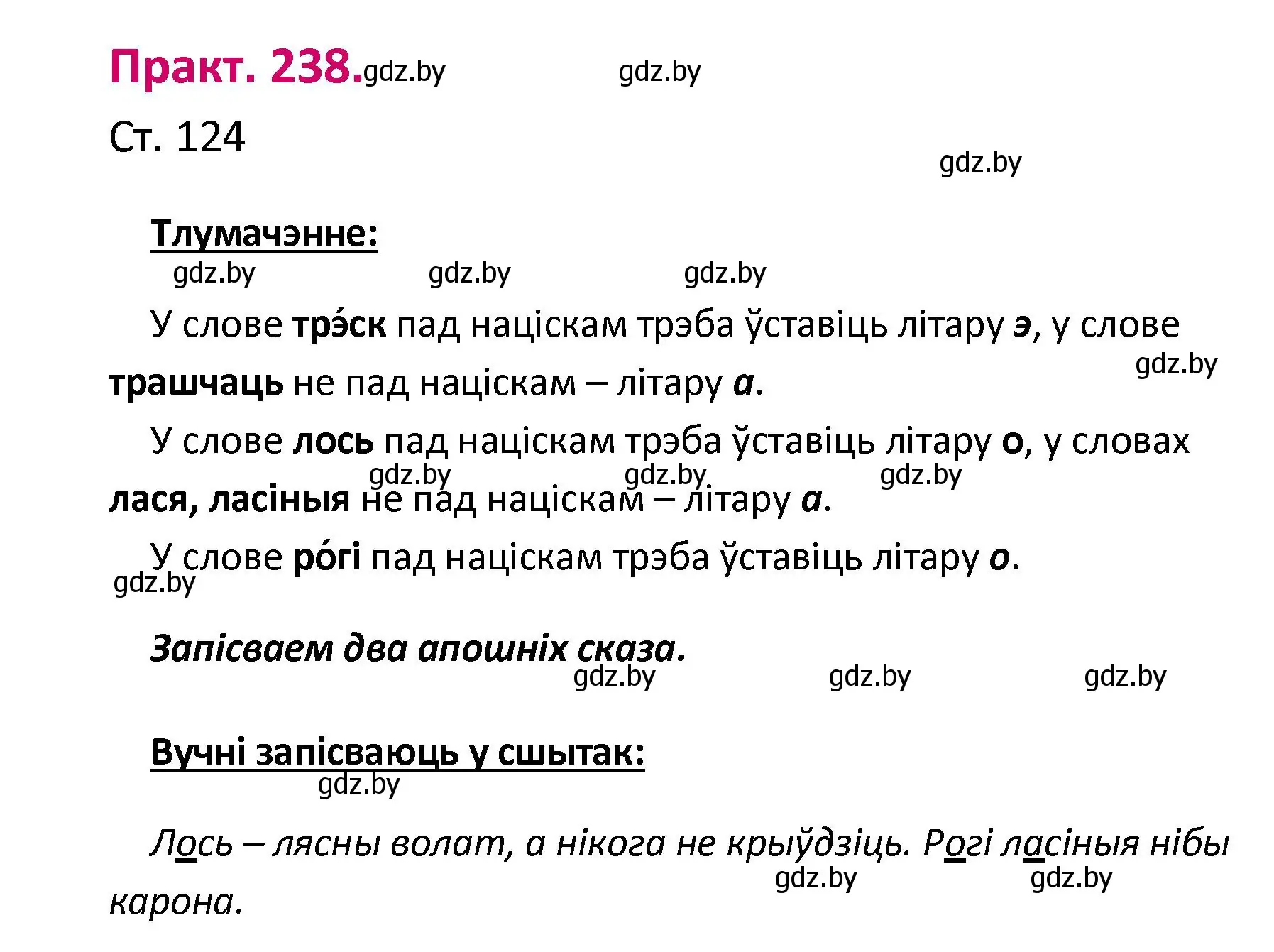 Решение номер 238 (страница 124) гдз по белорусскому языку 2 класс Свириденко, учебник 1 часть