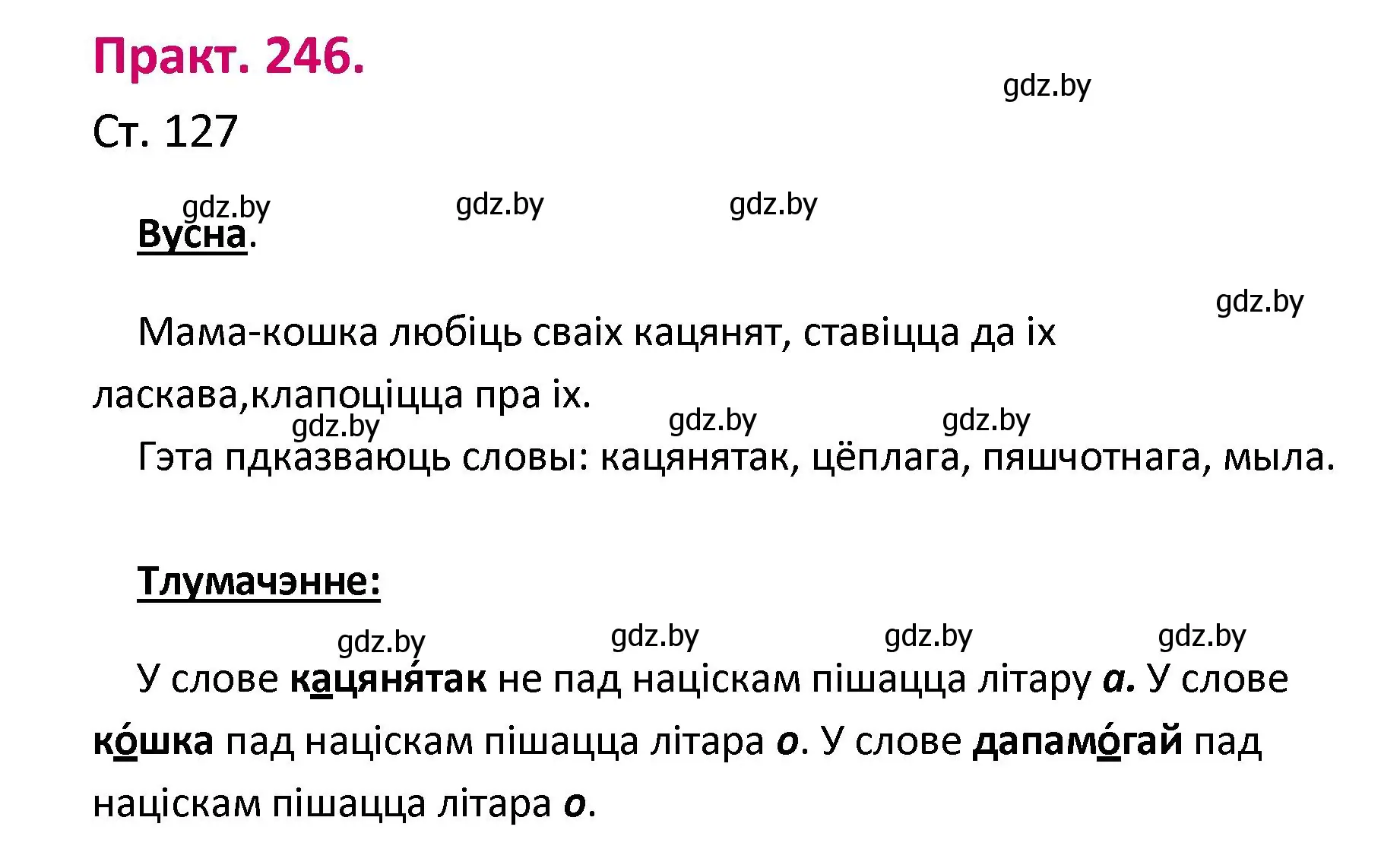 Решение номер 246 (страница 127) гдз по белорусскому языку 2 класс Свириденко, учебник 1 часть