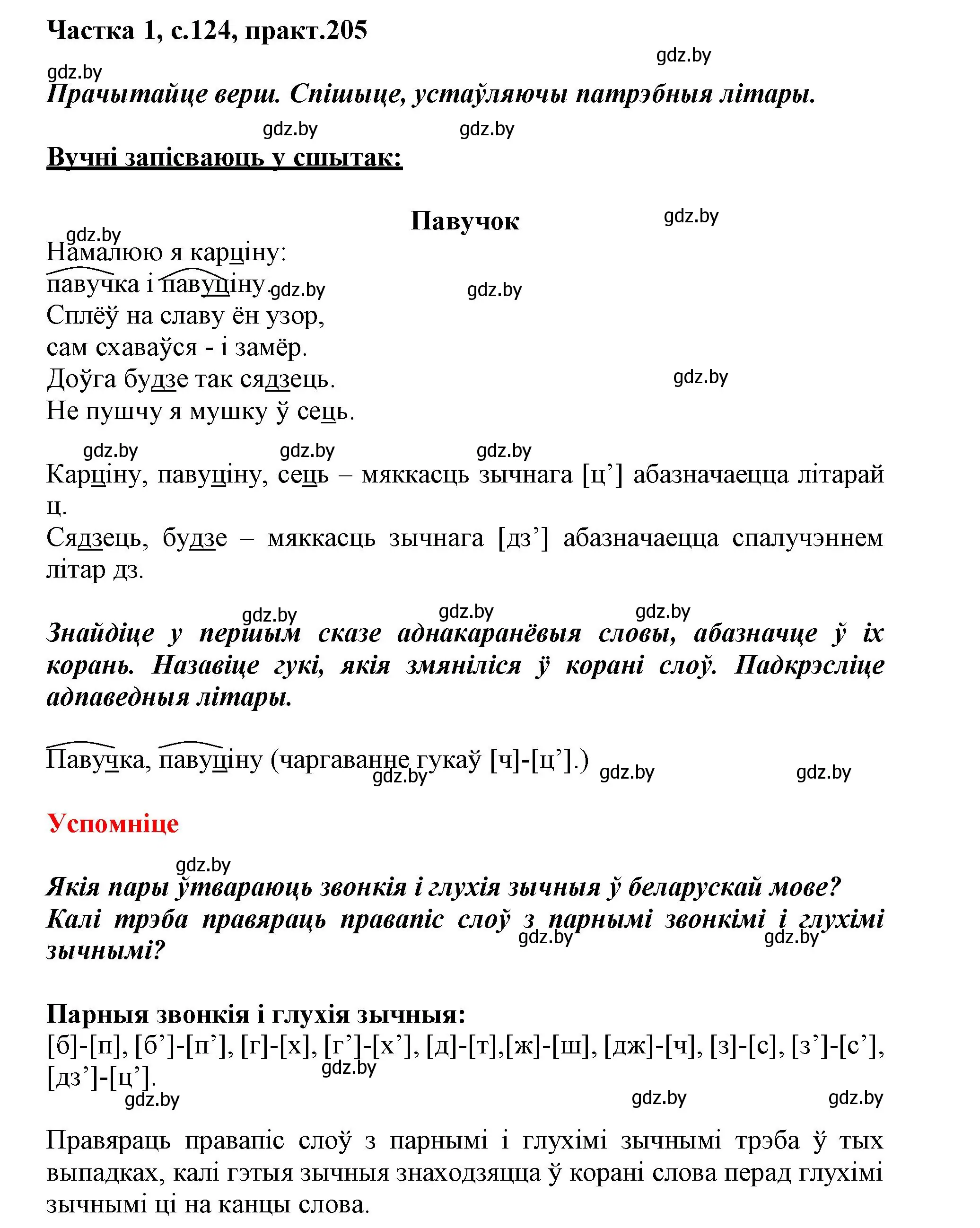 Решение номер 205 (страница 124) гдз по белорусскому языку 3 класс Свириденко, учебник 1 часть