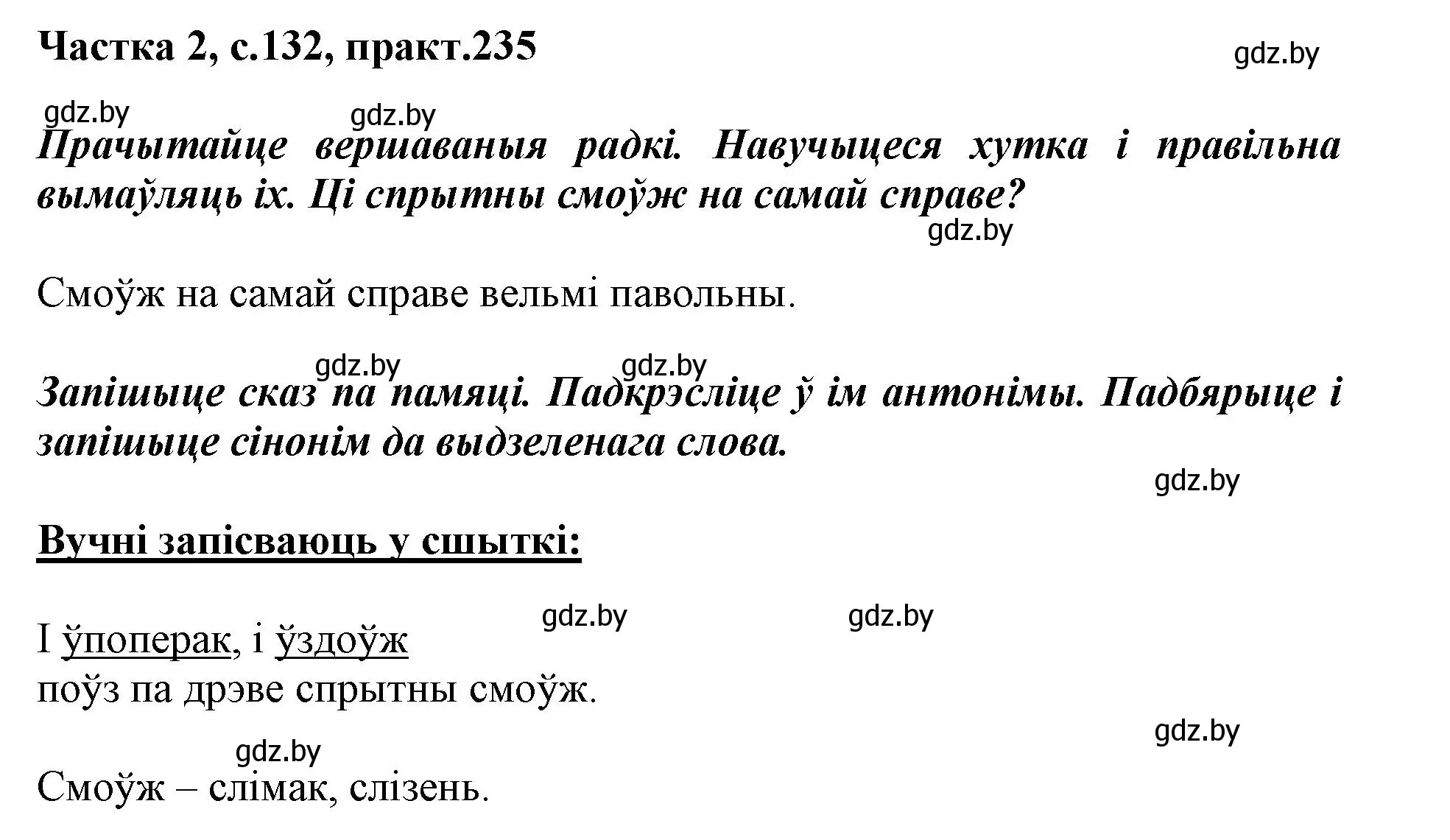 Решение номер 235 (страница 132) гдз по белорусскому языку 3 класс Свириденко, учебник 2 часть