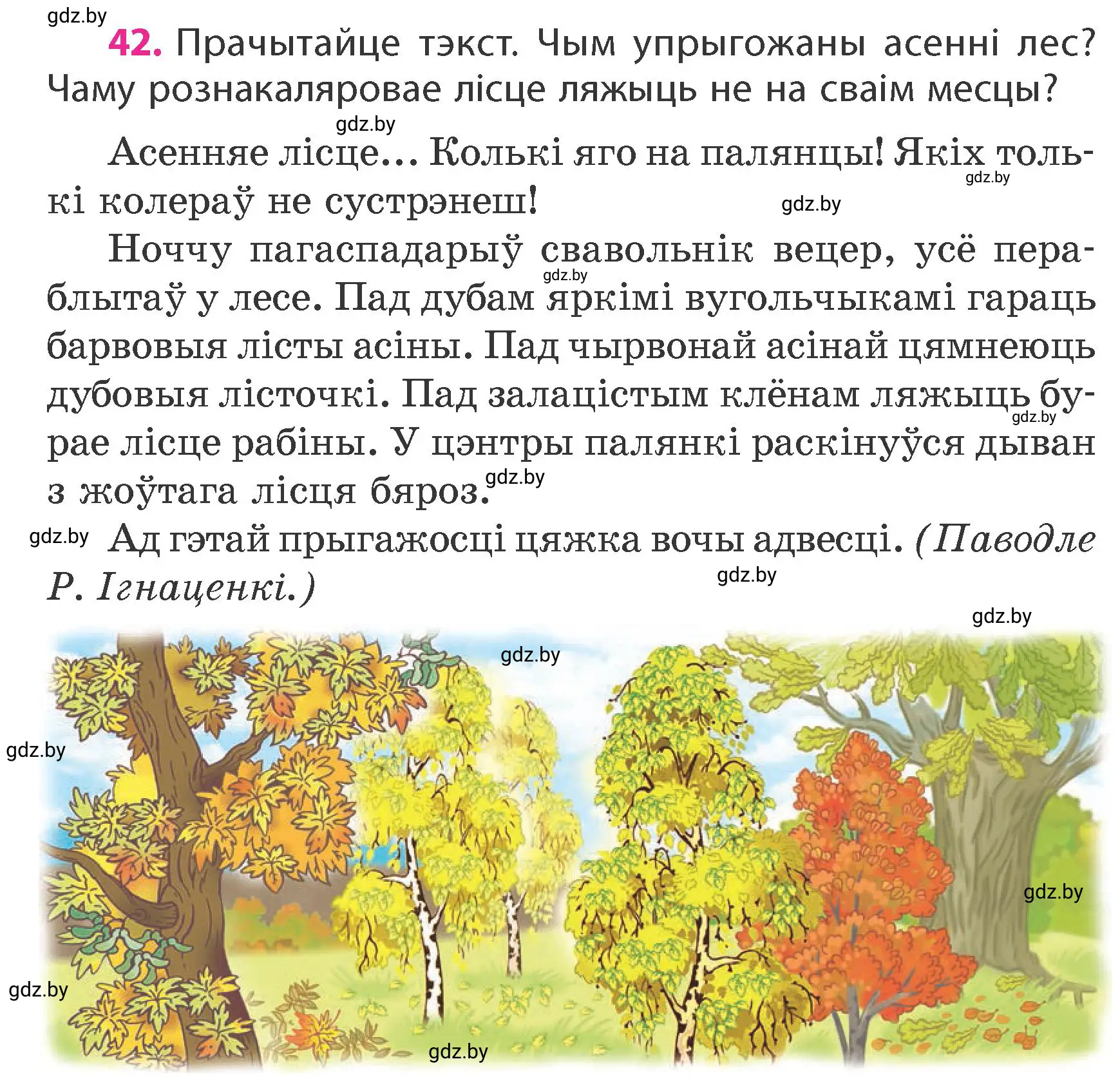 Условие номер 42 (страница 30) гдз по белорусскому языку 4 класс Свириденко, учебник