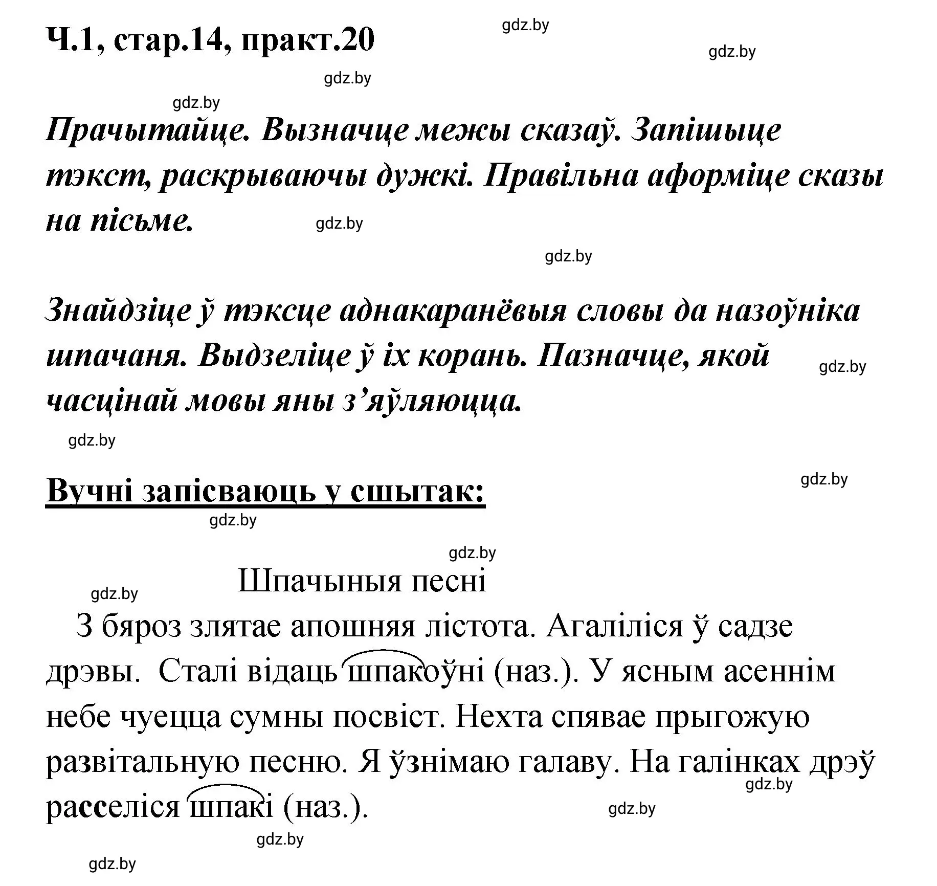 Решение номер 20 (страница 14) гдз по белорусскому языку 4 класс Свириденко, учебник