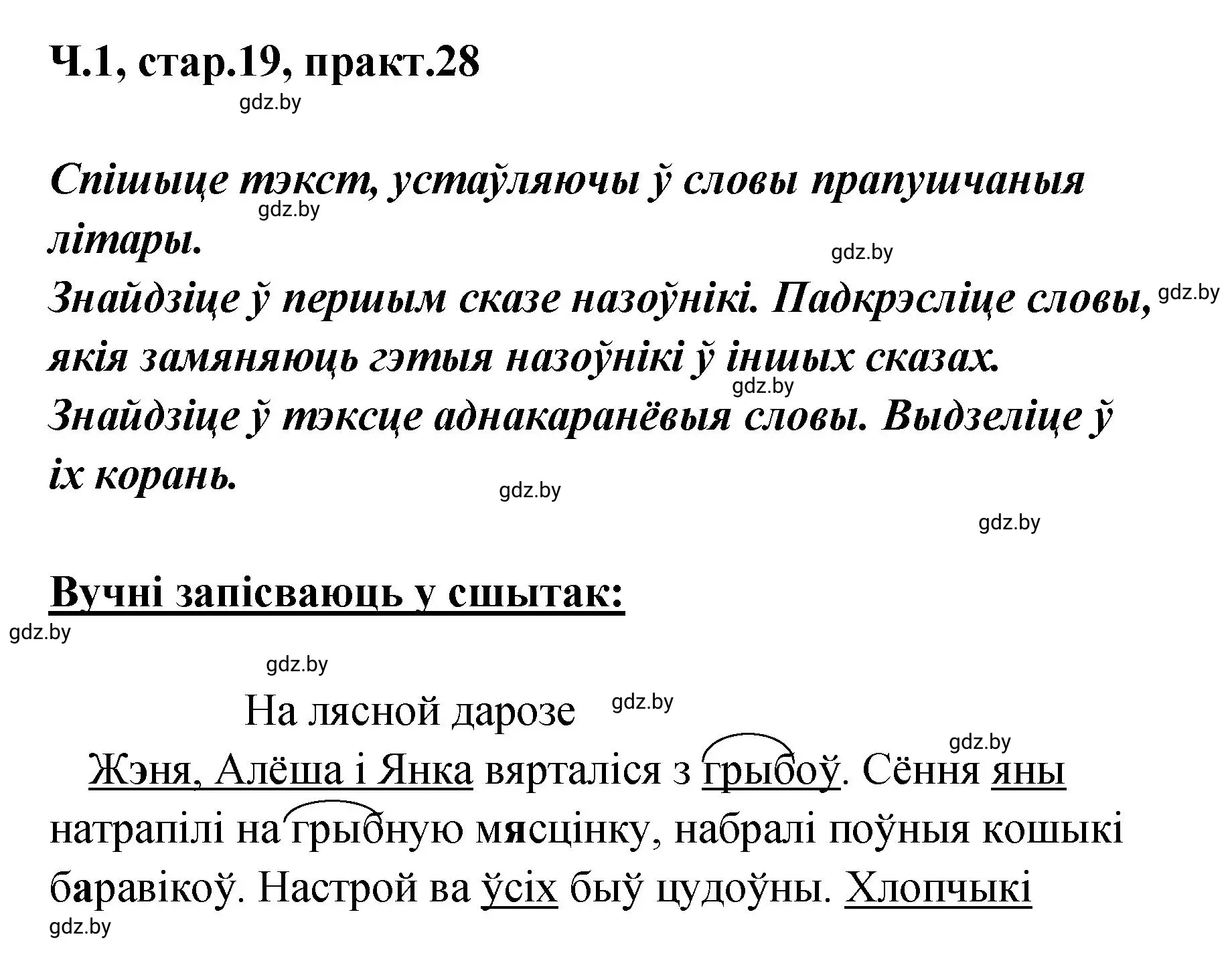 Решение номер 28 (страница 19) гдз по белорусскому языку 4 класс Свириденко, учебник