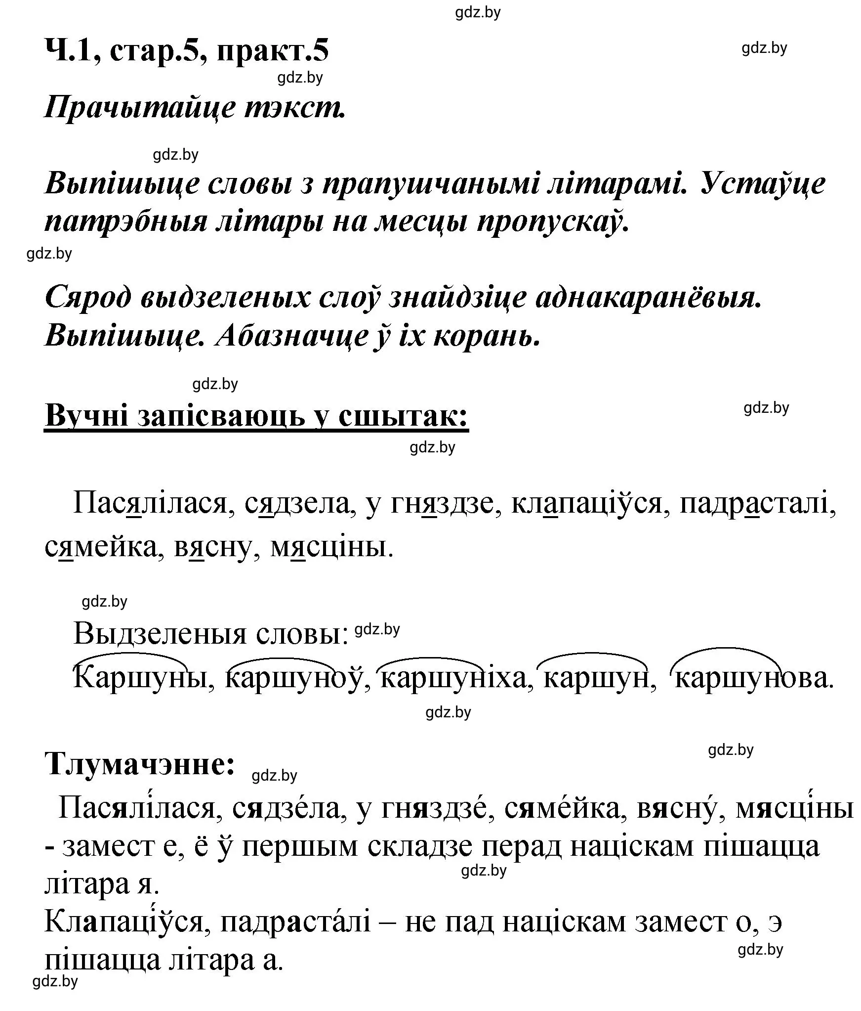 Решение номер 5 (страница 5) гдз по белорусскому языку 4 класс Свириденко, учебник