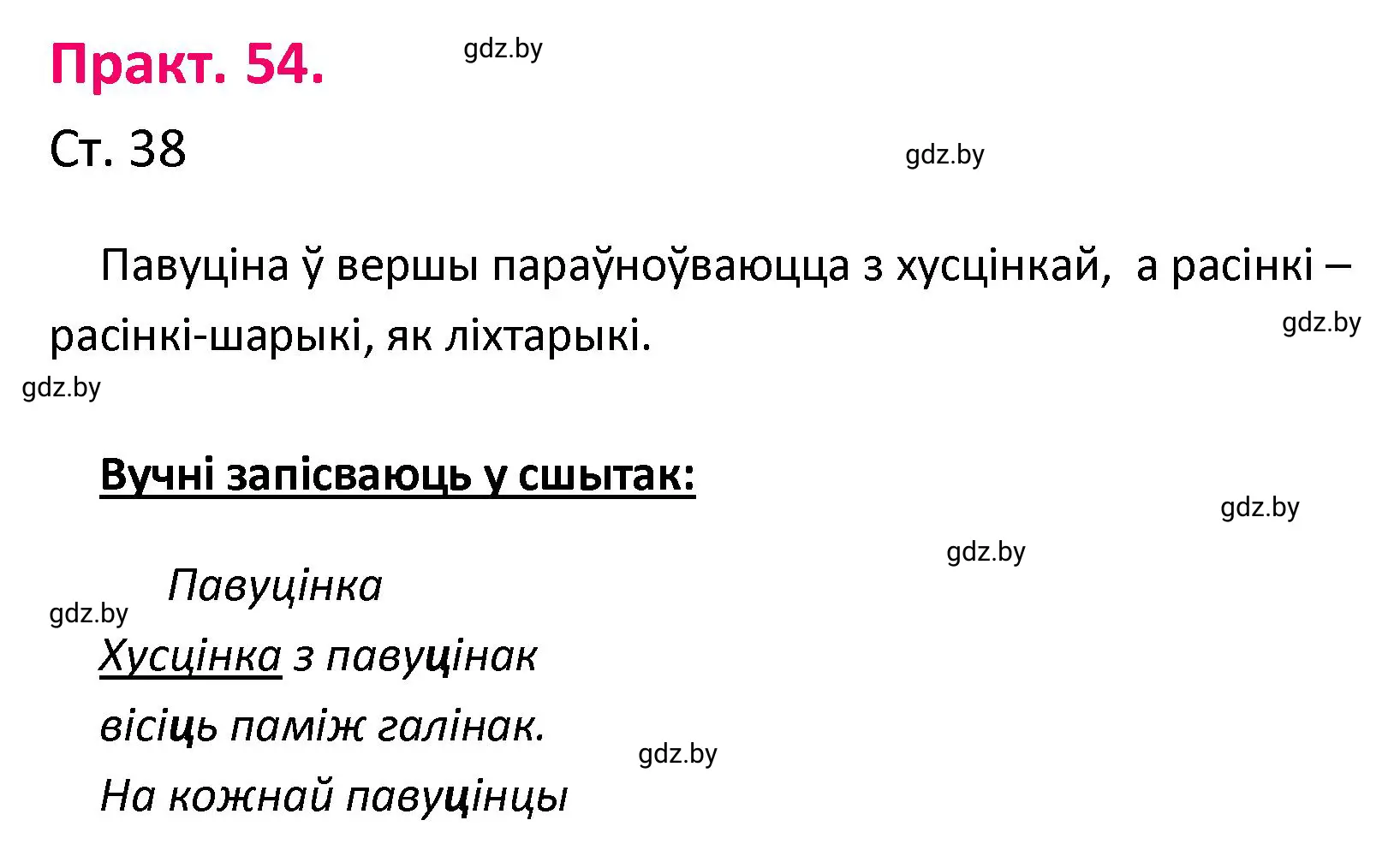 Решение номер 54 (страница 38) гдз по белорусскому языку 4 класс Свириденко, учебник