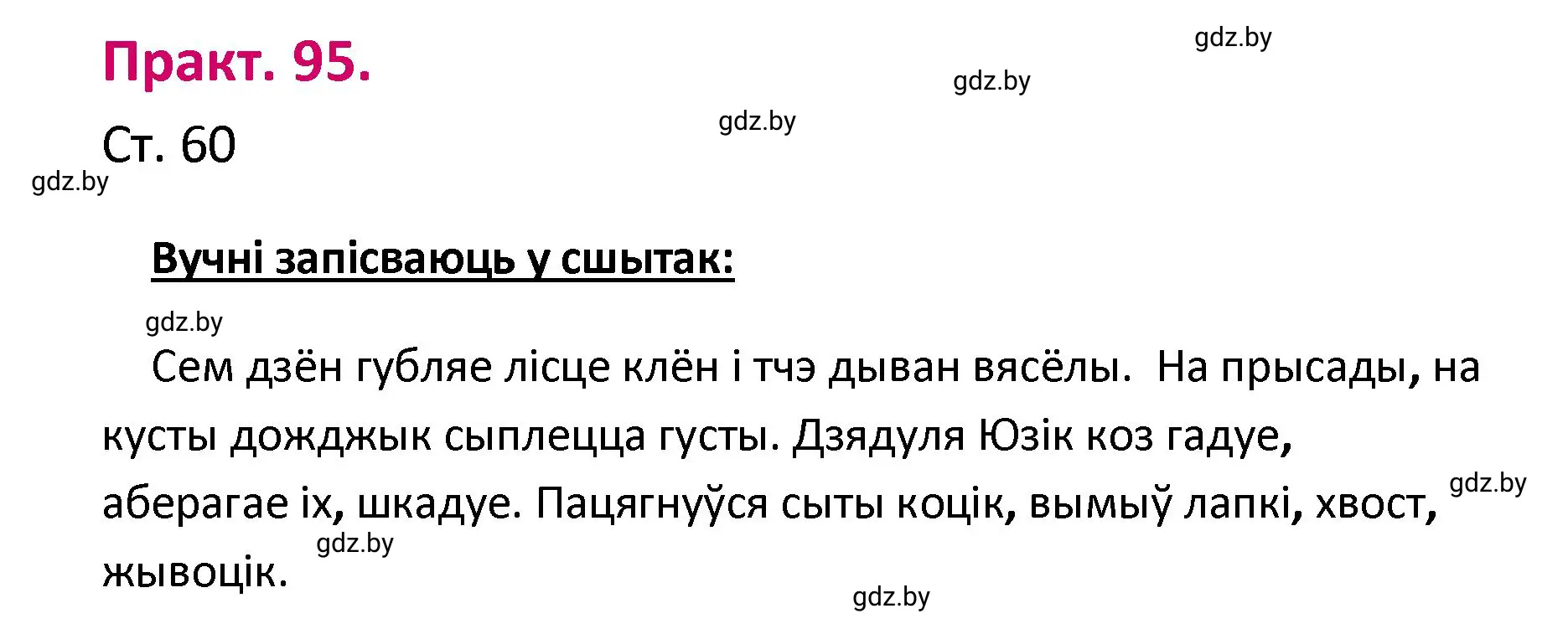 Решение номер 95 (страница 60) гдз по белорусскому языку 4 класс Свириденко, учебник