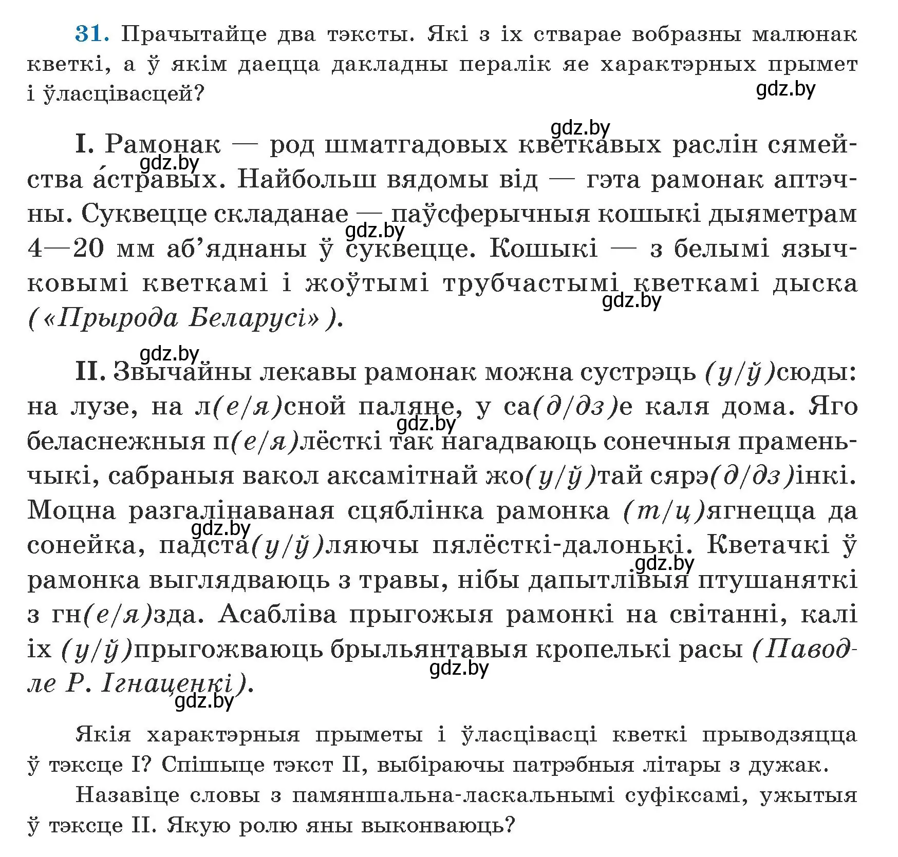 Условие номер 31 (страница 24) гдз по белорусскому языку 5 класс Валочка, Зелянко, учебник 1 часть