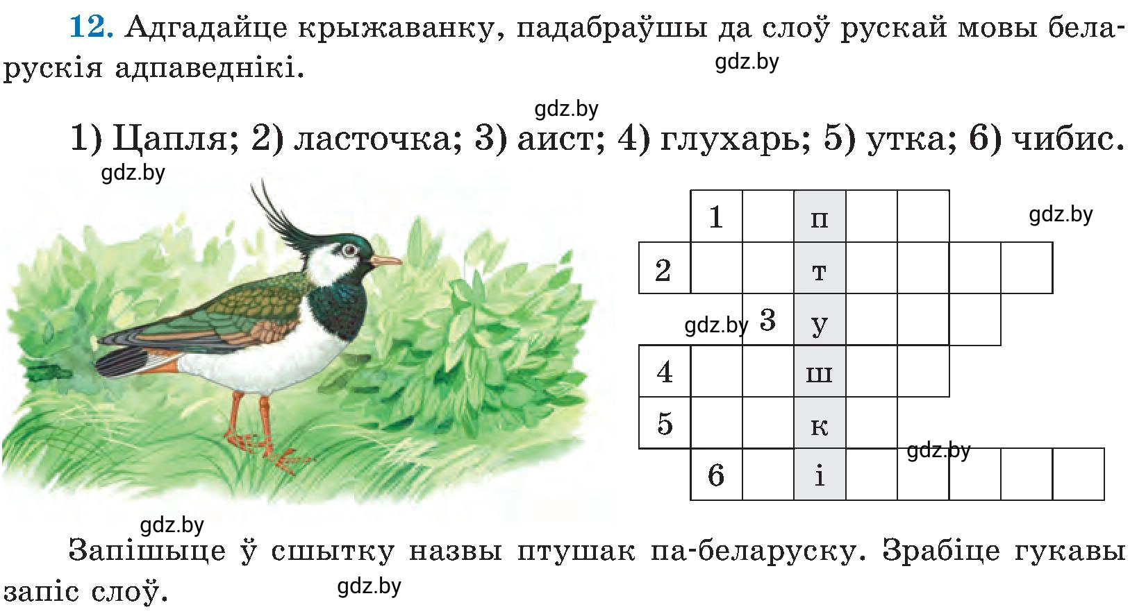 Условие номер 12 (страница 12) гдз по белорусскому языку 5 класс Валочка, Зелянко, учебник 2 часть