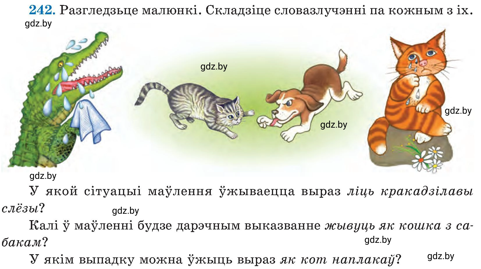 Условие номер 242 (страница 124) гдз по белорусскому языку 5 класс Валочка, Зелянко, учебник 2 часть