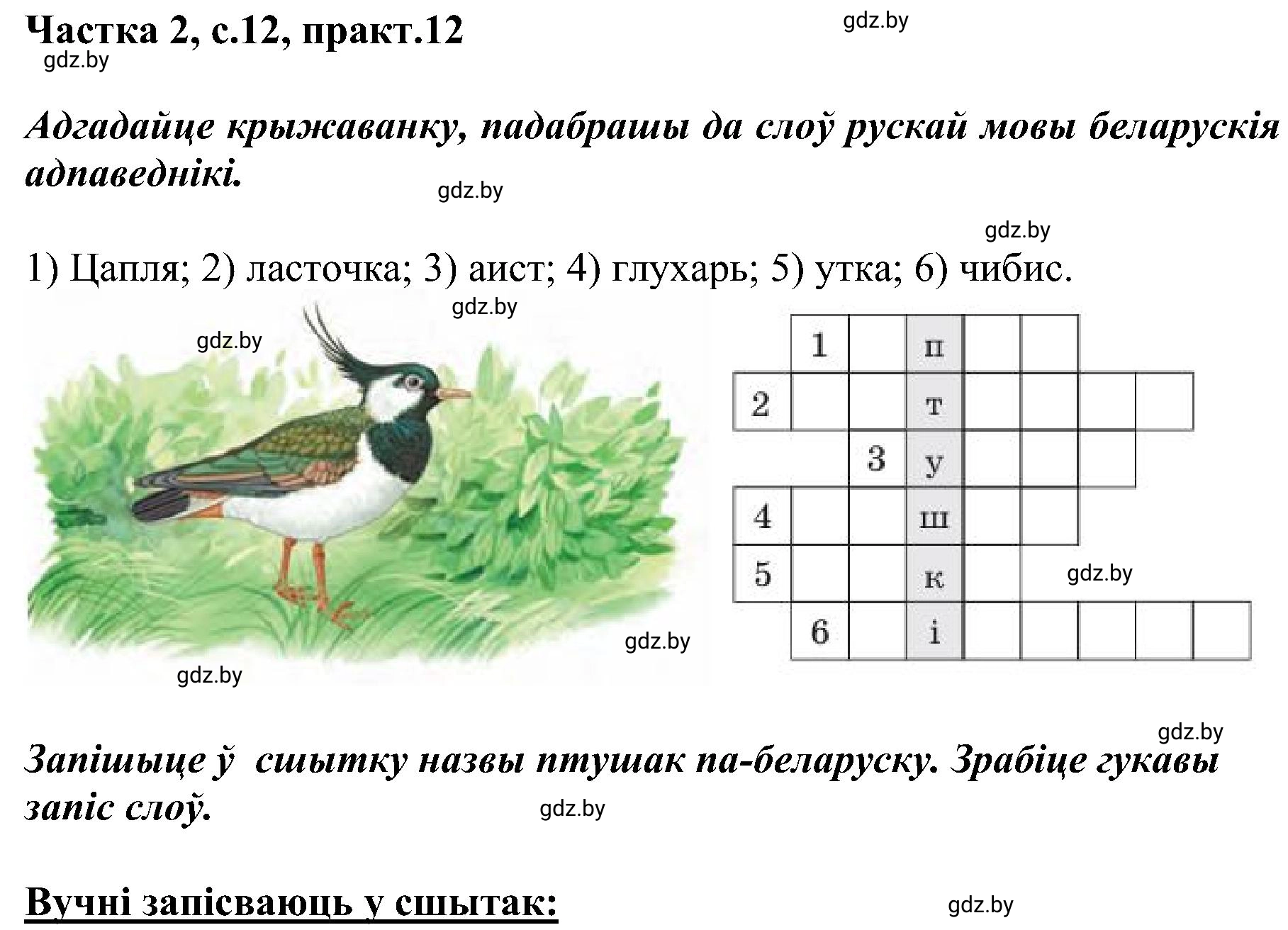 Решение номер 12 (страница 12) гдз по белорусскому языку 5 класс Валочка, Зелянко, учебник 2 часть
