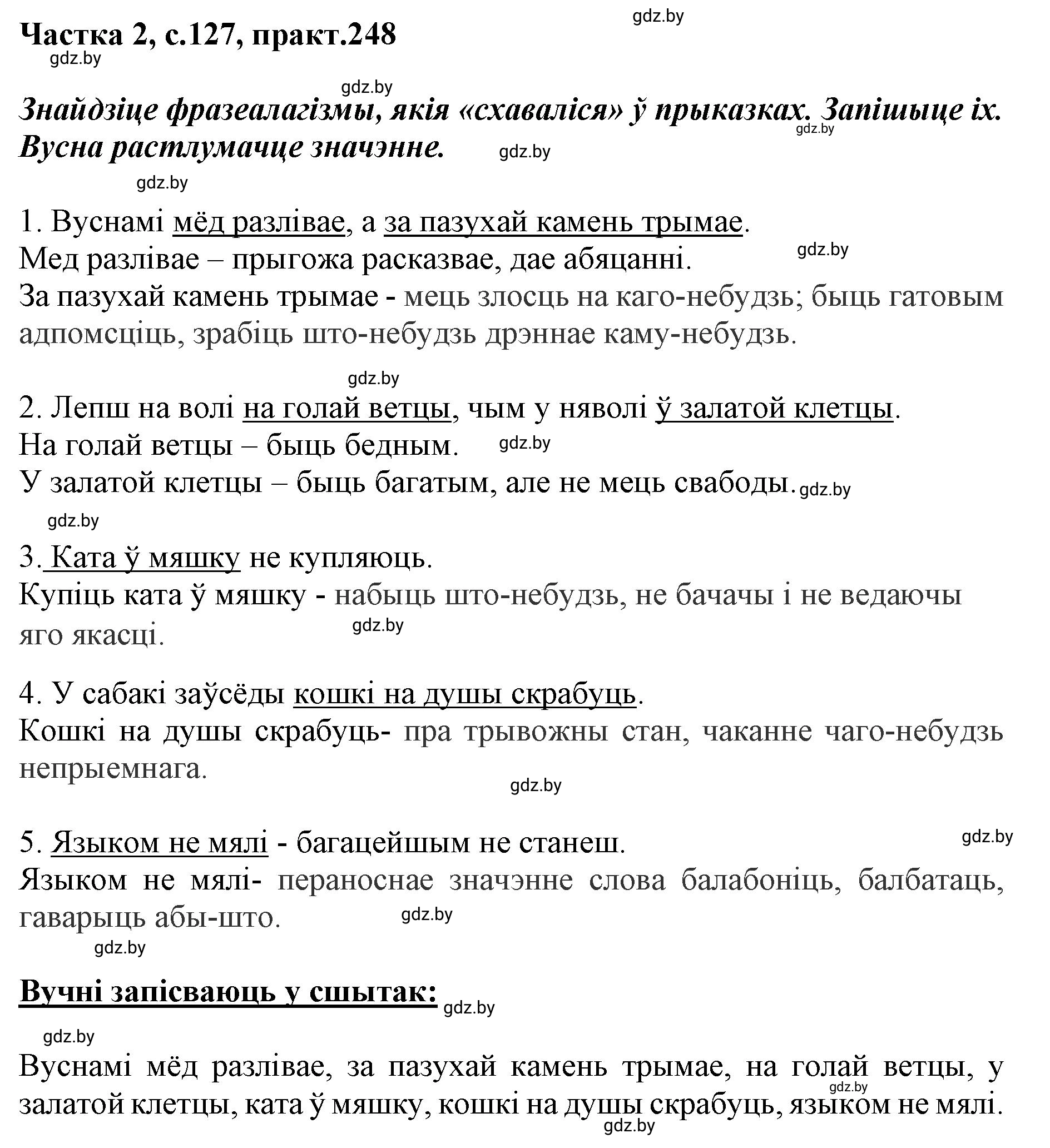 Решение номер 248 (страница 127) гдз по белорусскому языку 5 класс Валочка, Зелянко, учебник 2 часть