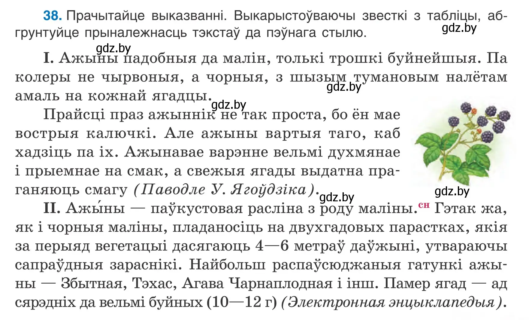 Условие номер 38 (страница 21) гдз по белорусскому языку 6 класс Валочка, Зелянко, учебник