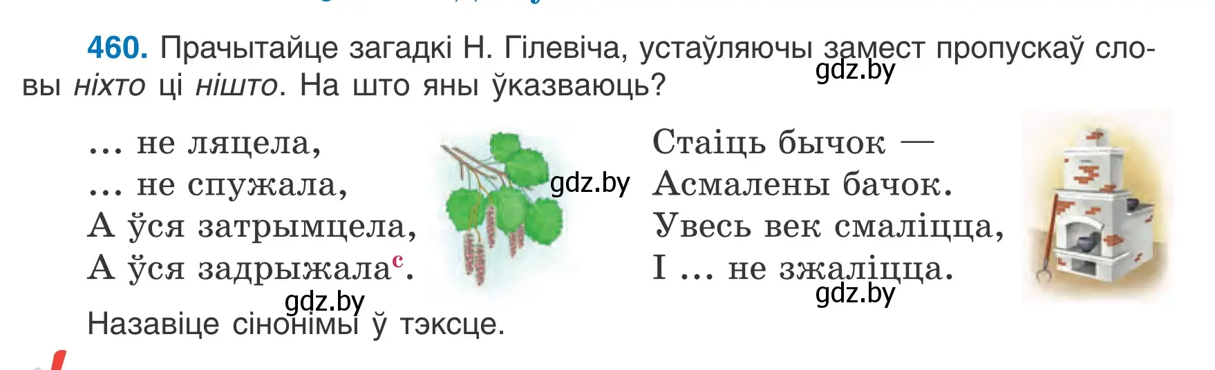 Условие номер 460 (страница 223) гдз по белорусскому языку 6 класс Валочка, Зелянко, учебник