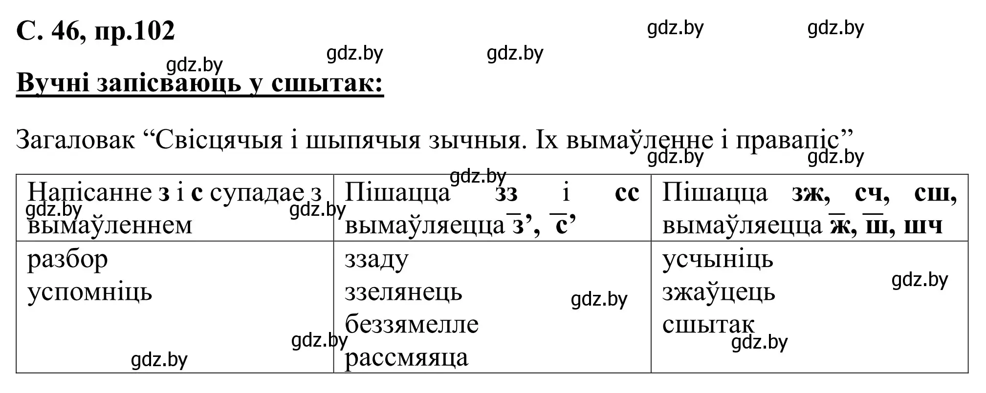 Решение номер 102 (страница 46) гдз по белорусскому языку 6 класс Валочка, Зелянко, учебник