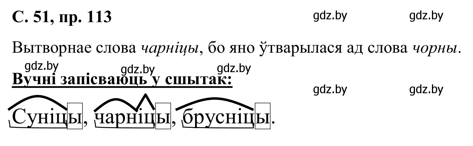 Решение номер 113 (страница 51) гдз по белорусскому языку 6 класс Валочка, Зелянко, учебник