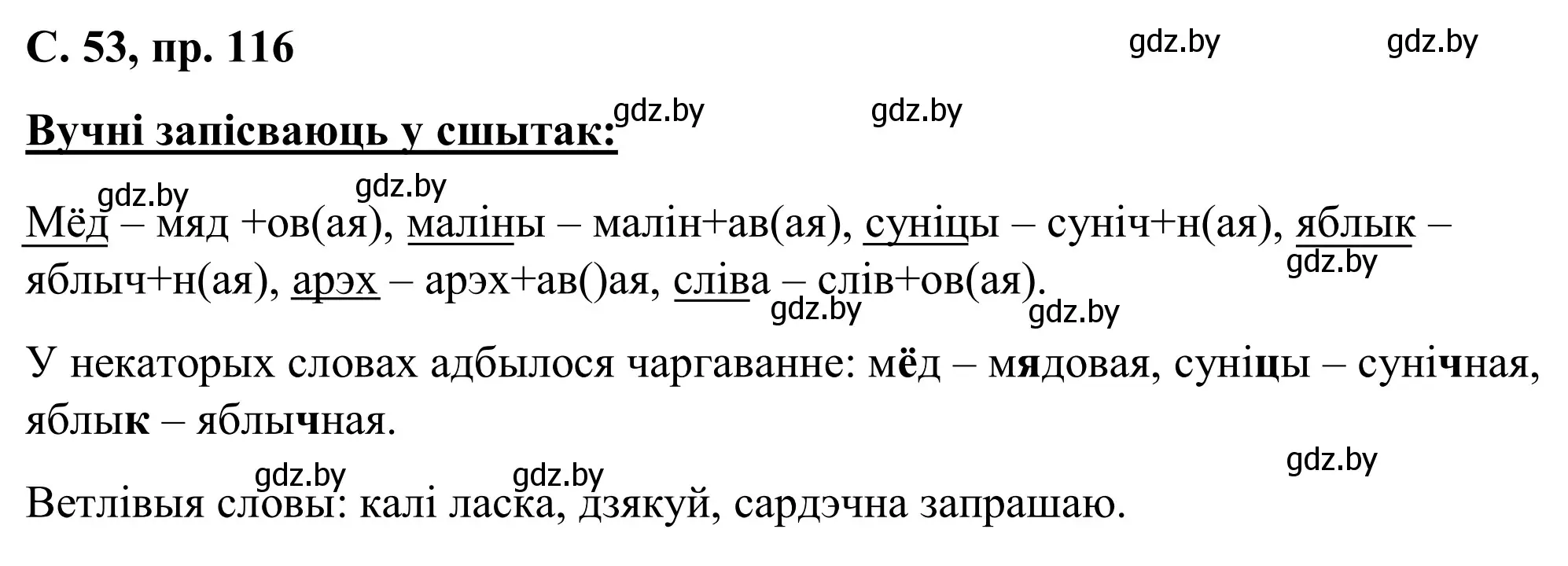 Решение номер 116 (страница 53) гдз по белорусскому языку 6 класс Валочка, Зелянко, учебник