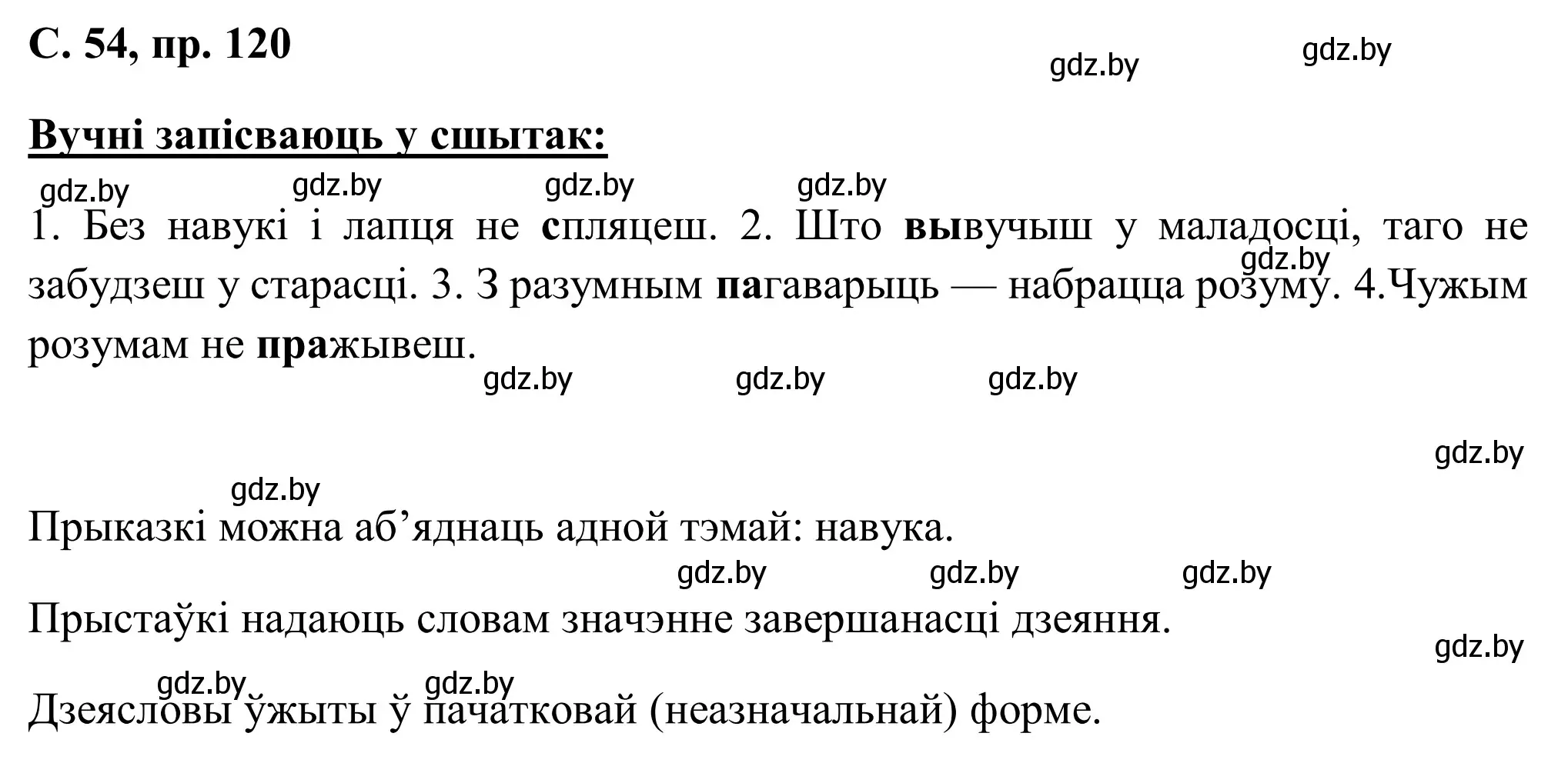 Решение номер 120 (страница 54) гдз по белорусскому языку 6 класс Валочка, Зелянко, учебник