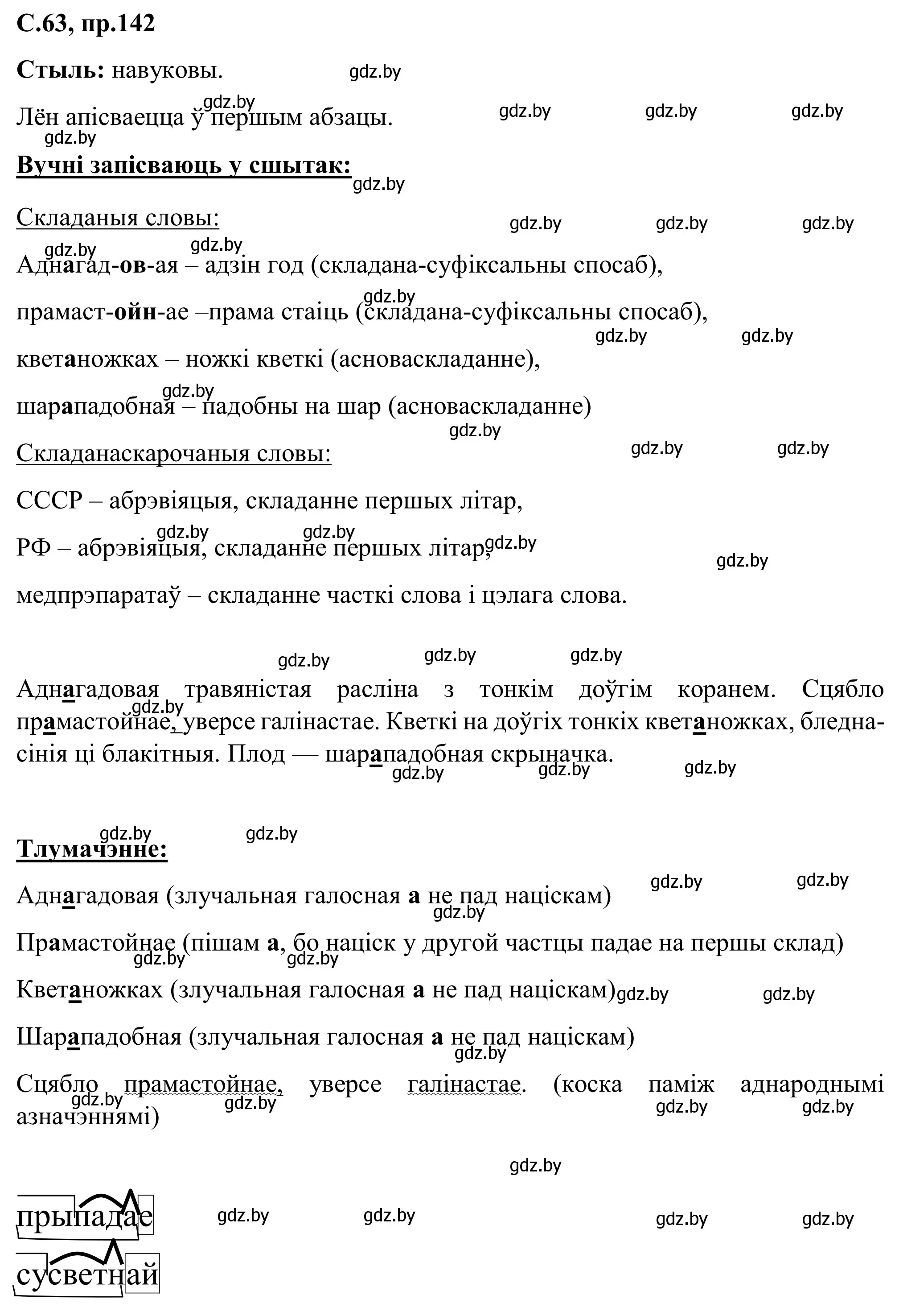 Решение номер 142 (страница 63) гдз по белорусскому языку 6 класс Валочка, Зелянко, учебник