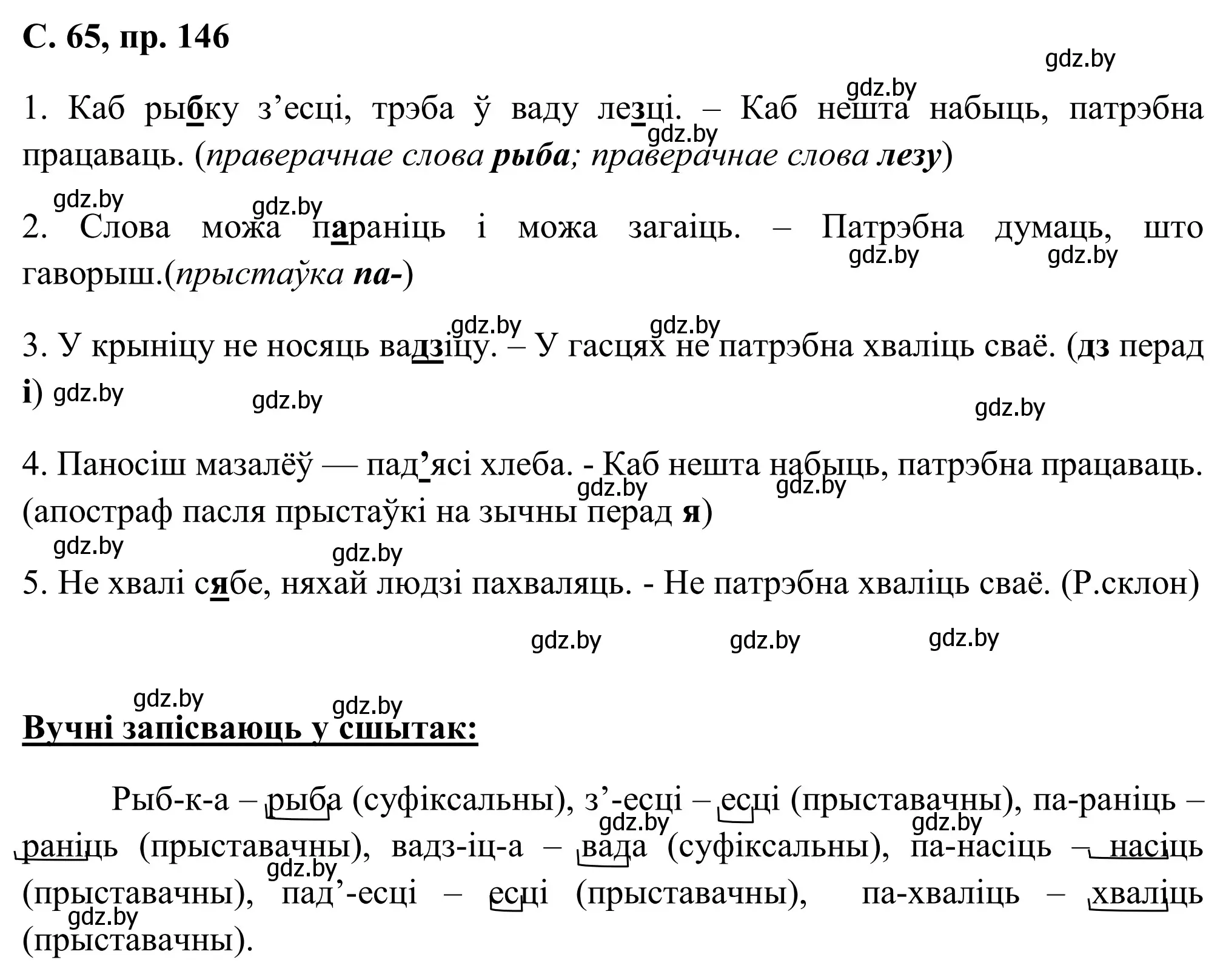 Решение номер 146 (страница 65) гдз по белорусскому языку 6 класс Валочка, Зелянко, учебник