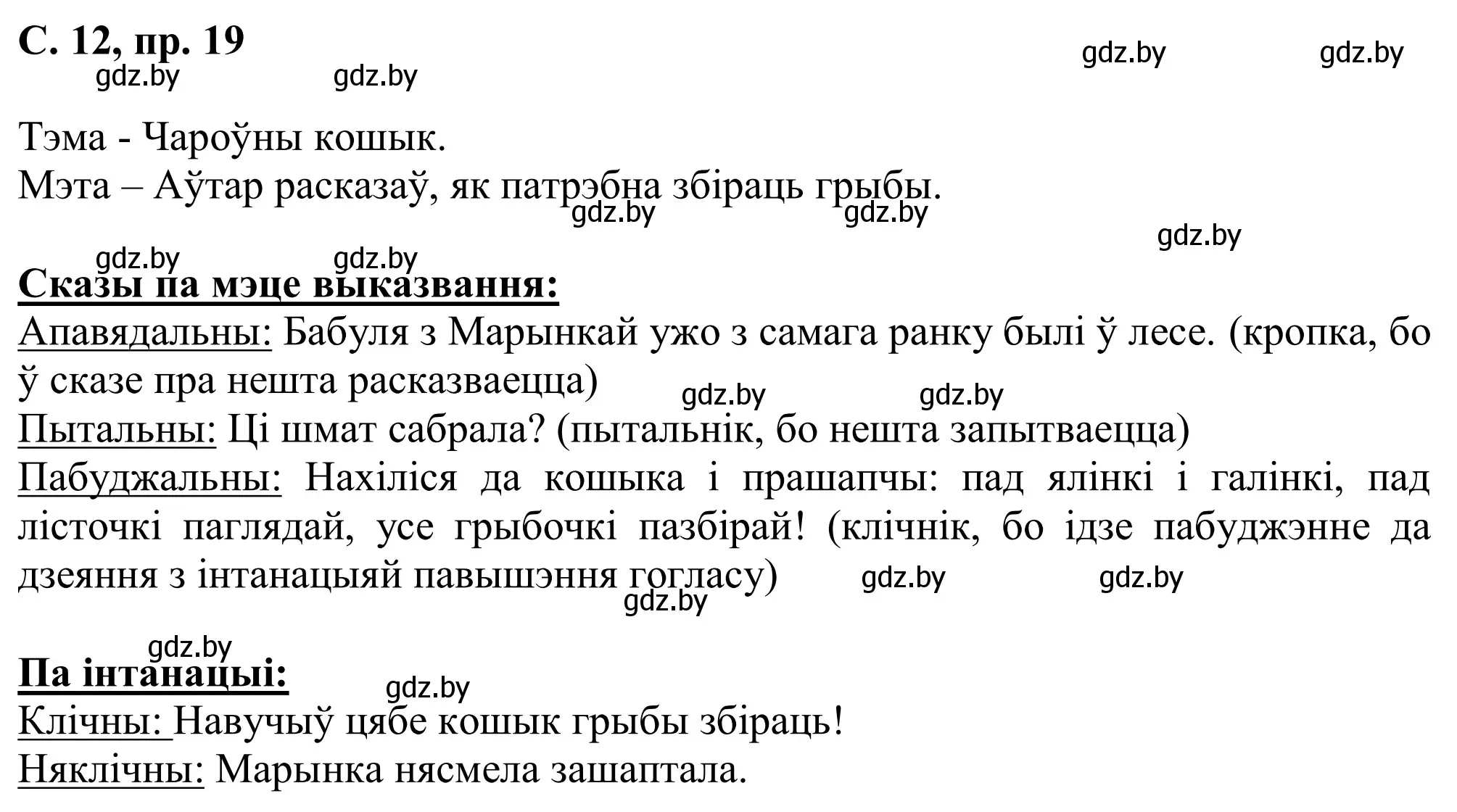 Решение номер 19 (страница 12) гдз по белорусскому языку 6 класс Валочка, Зелянко, учебник