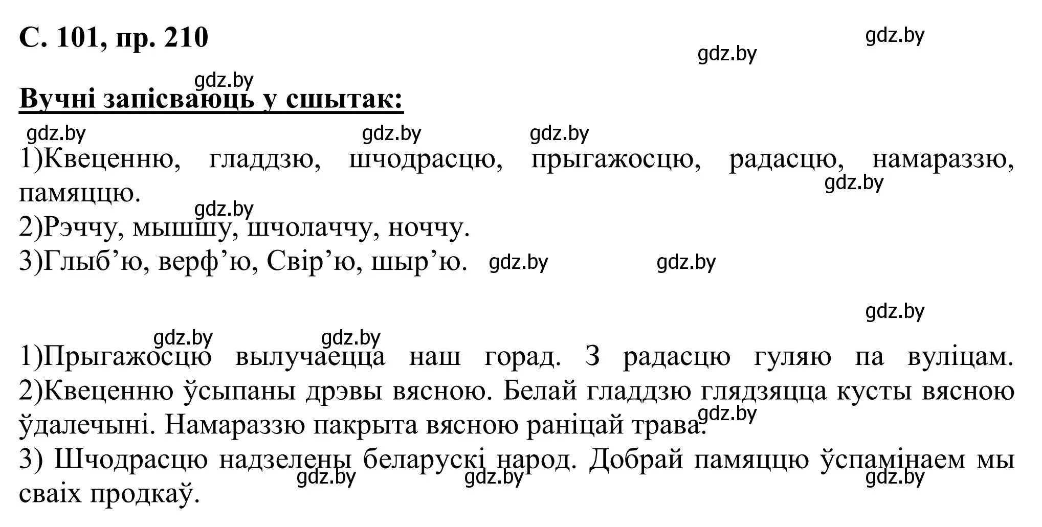 Решение номер 210 (страница 101) гдз по белорусскому языку 6 класс Валочка, Зелянко, учебник