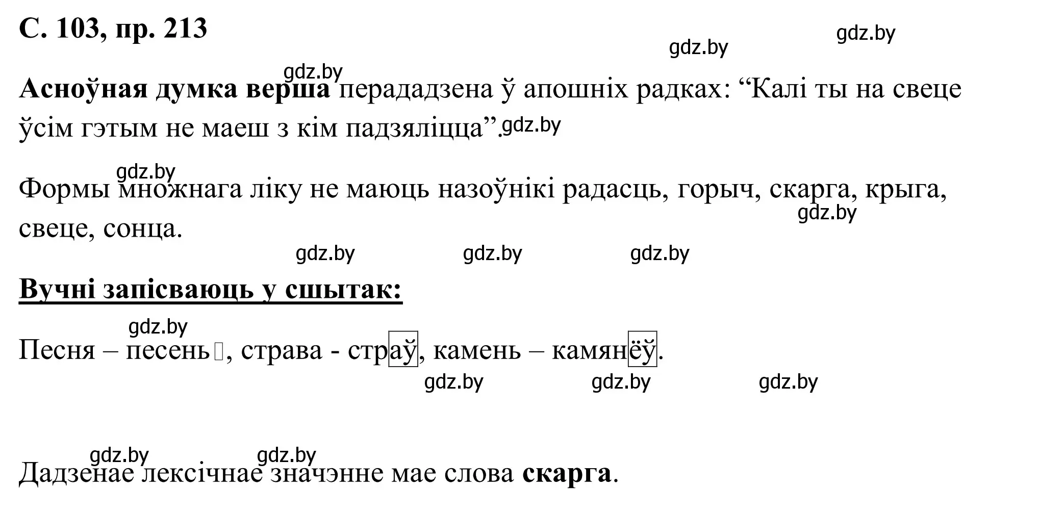 Решение номер 213 (страница 103) гдз по белорусскому языку 6 класс Валочка, Зелянко, учебник