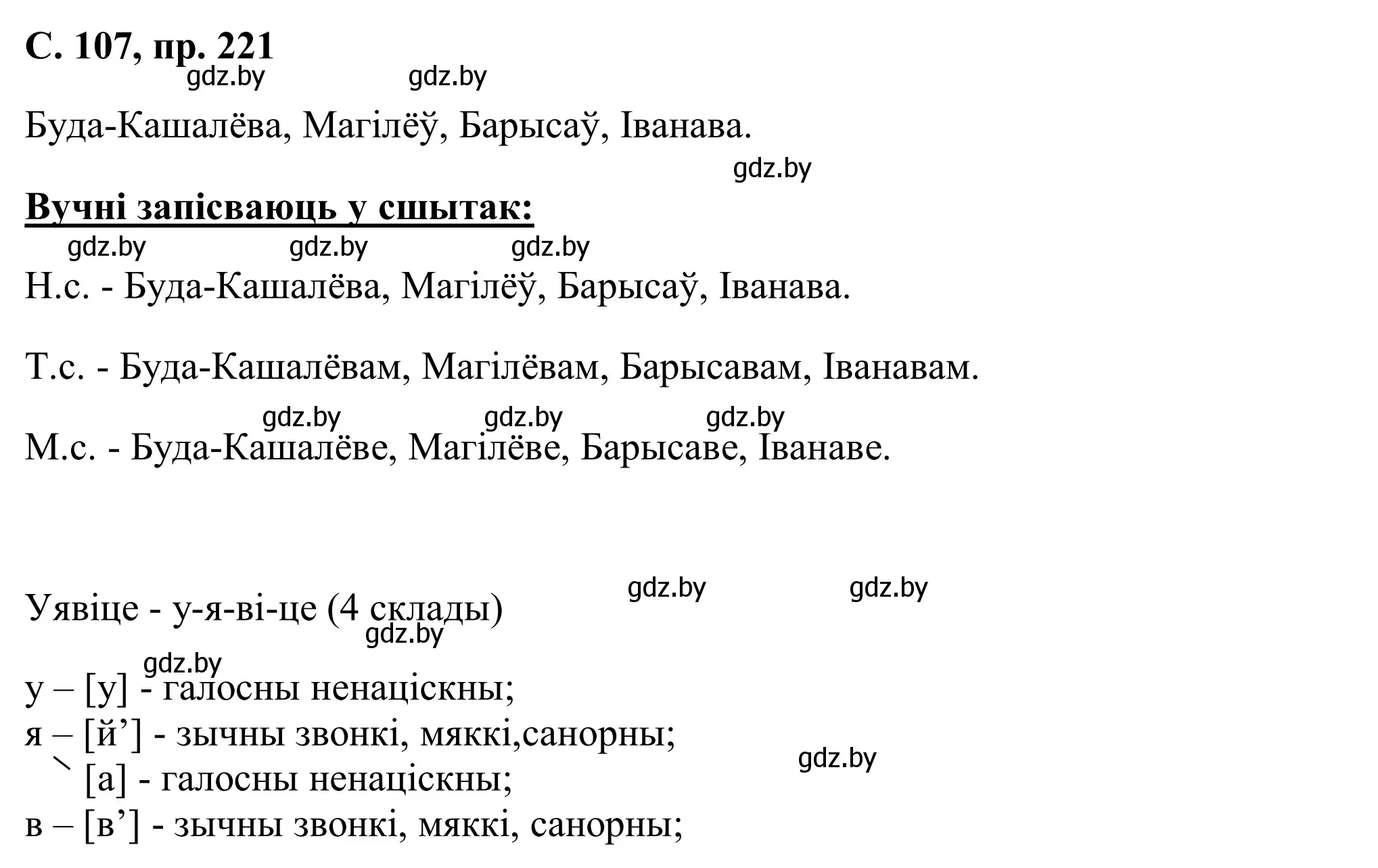 Решение номер 221 (страница 107) гдз по белорусскому языку 6 класс Валочка, Зелянко, учебник