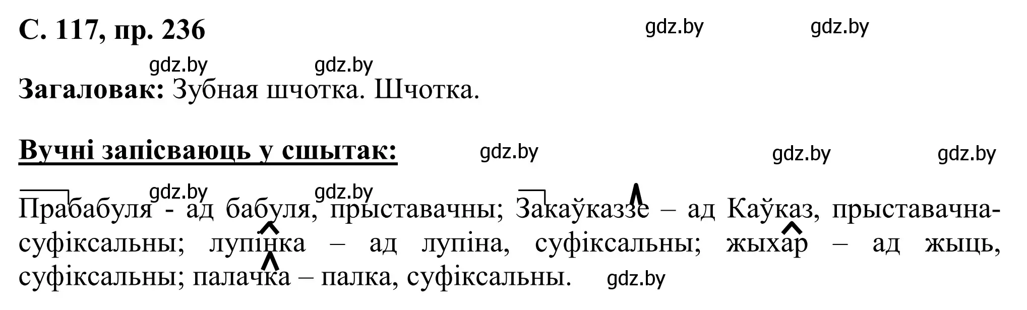 Решение номер 236 (страница 117) гдз по белорусскому языку 6 класс Валочка, Зелянко, учебник