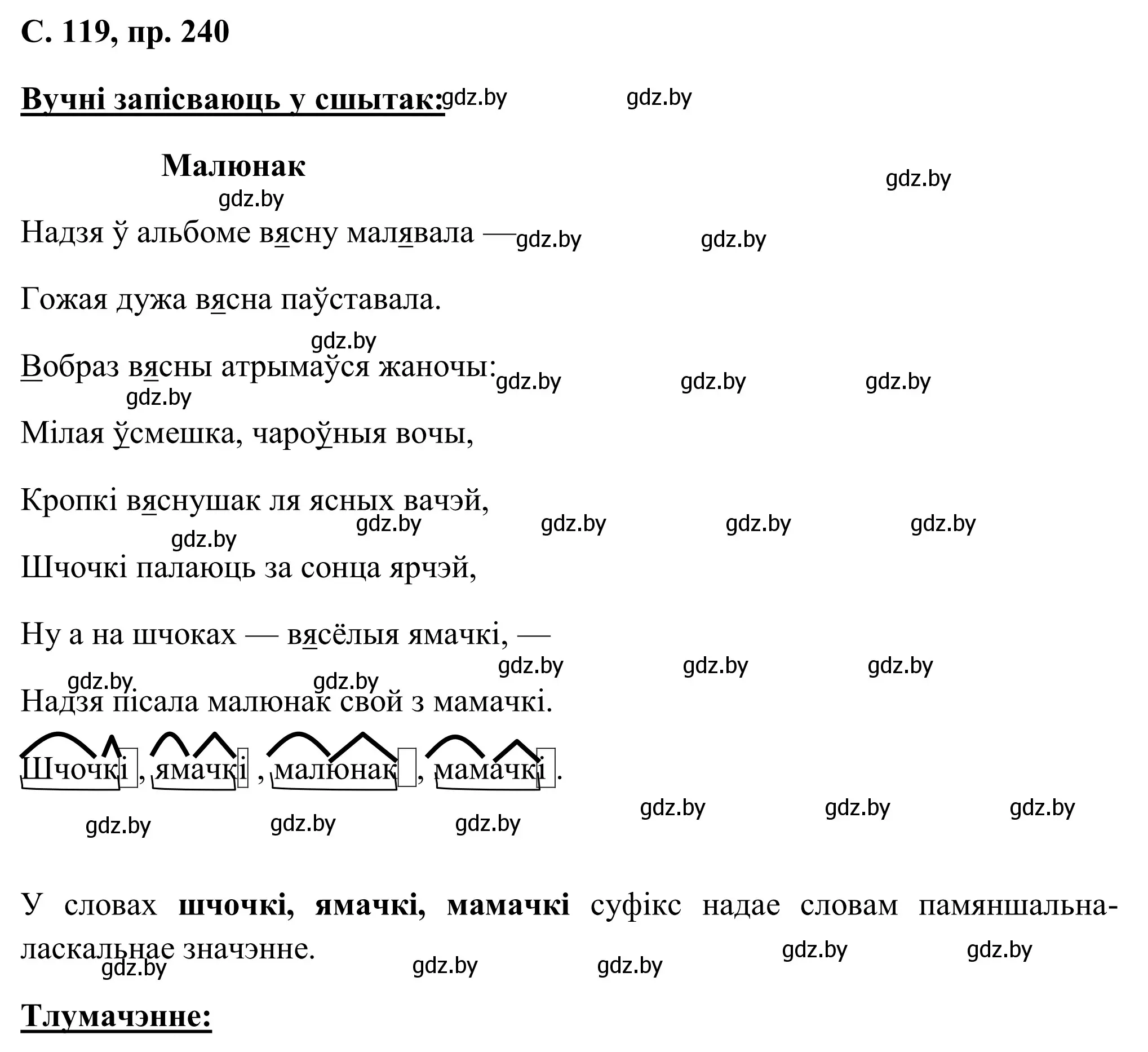 Решение номер 240 (страница 119) гдз по белорусскому языку 6 класс Валочка, Зелянко, учебник