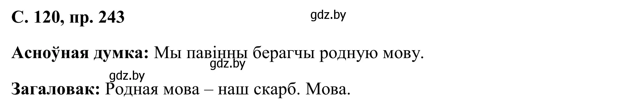 Решение номер 243 (страница 120) гдз по белорусскому языку 6 класс Валочка, Зелянко, учебник