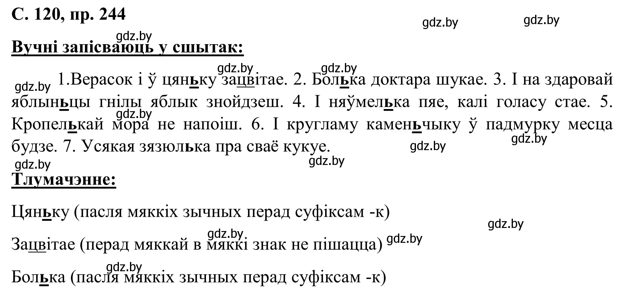 Решение номер 244 (страница 120) гдз по белорусскому языку 6 класс Валочка, Зелянко, учебник