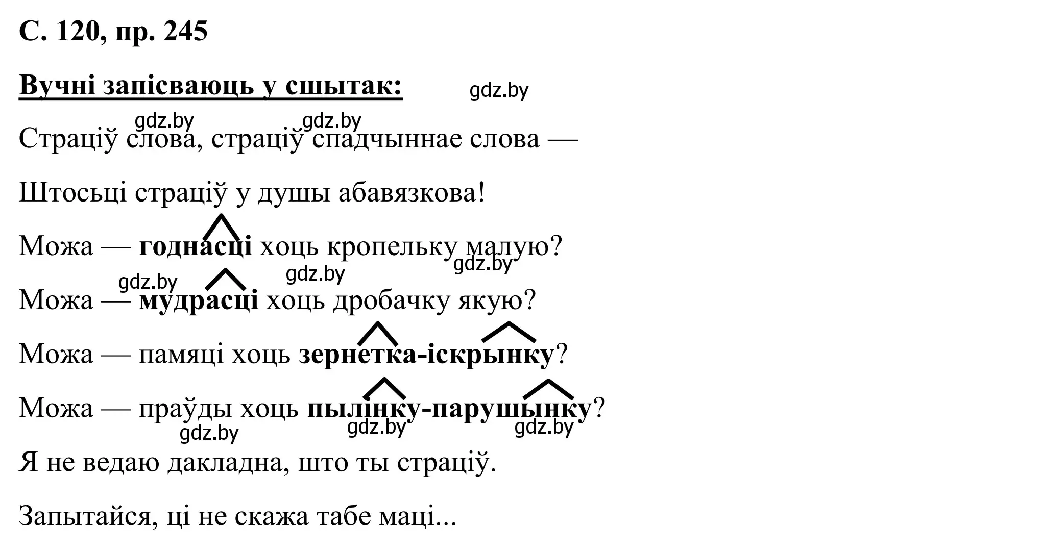 Решение номер 245 (страница 121) гдз по белорусскому языку 6 класс Валочка, Зелянко, учебник