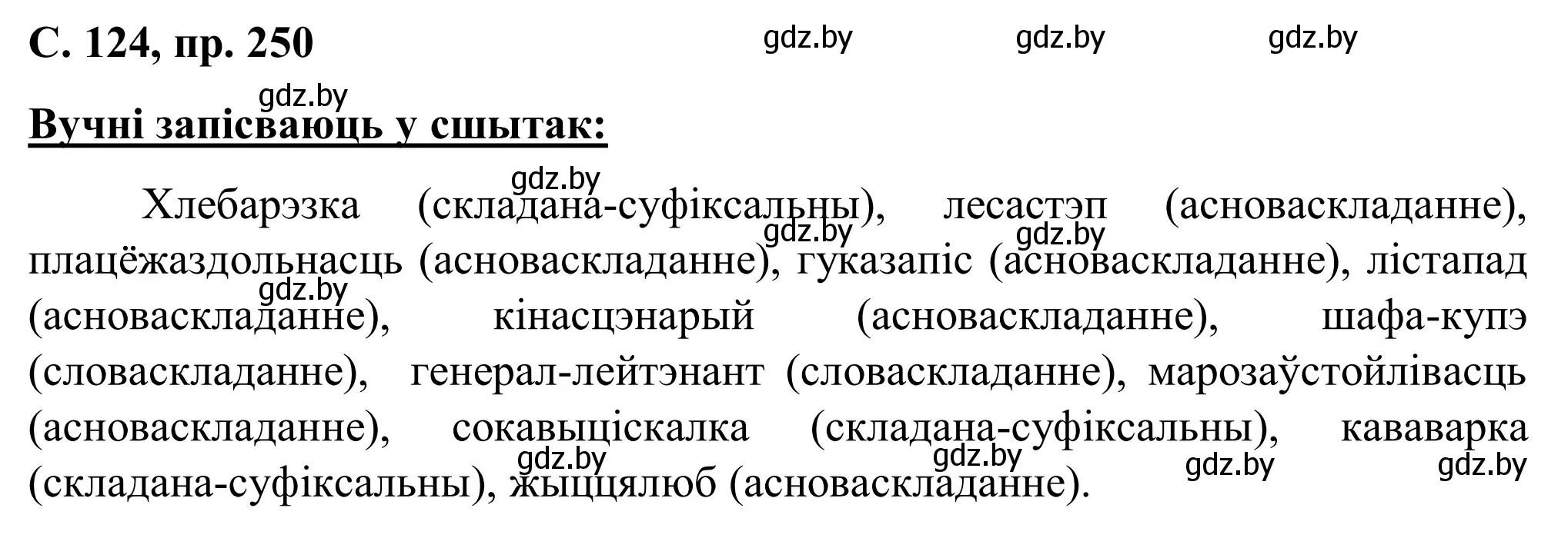 Решение номер 250 (страница 124) гдз по белорусскому языку 6 класс Валочка, Зелянко, учебник