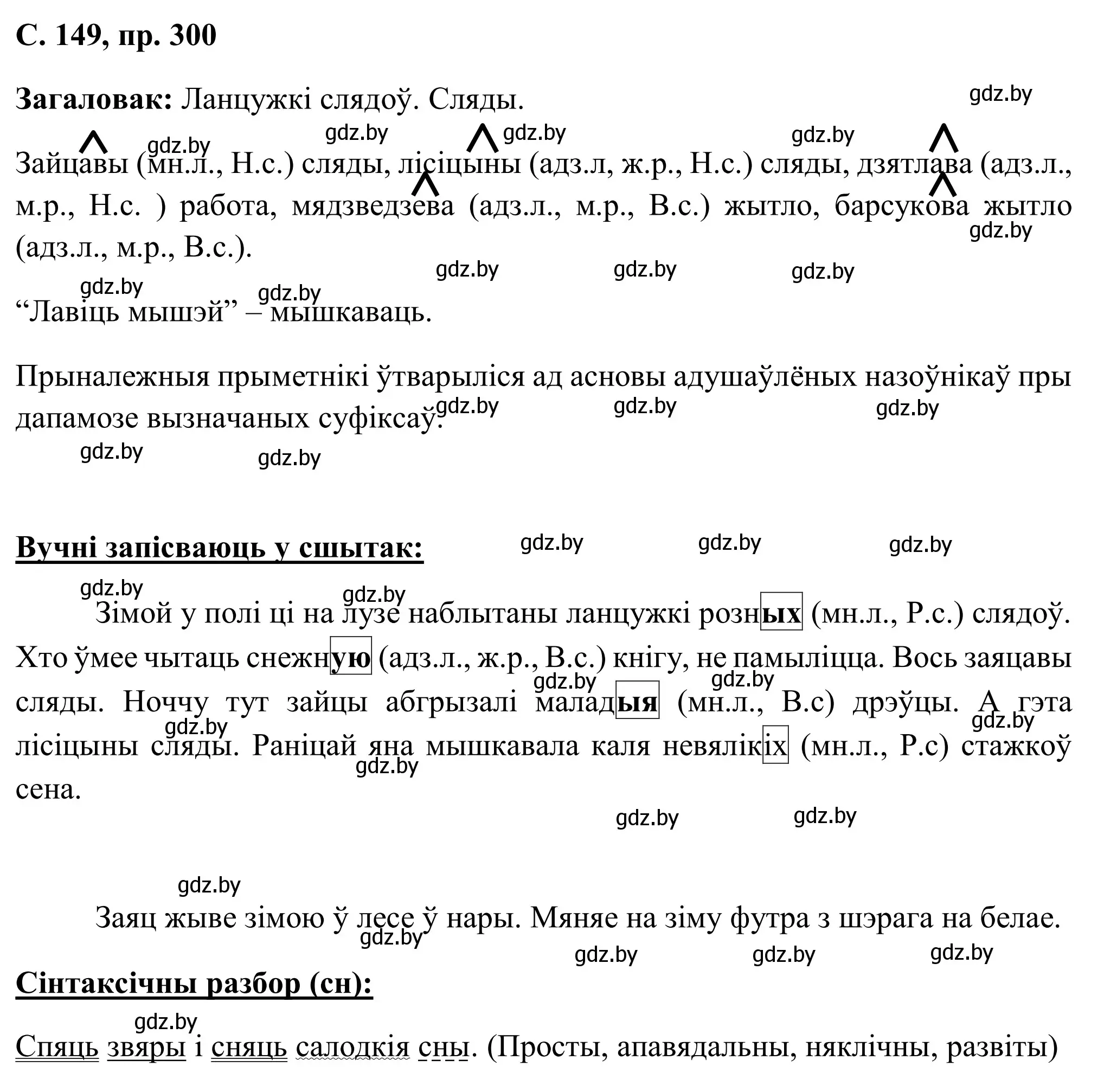 Решение номер 300 (страница 149) гдз по белорусскому языку 6 класс Валочка, Зелянко, учебник