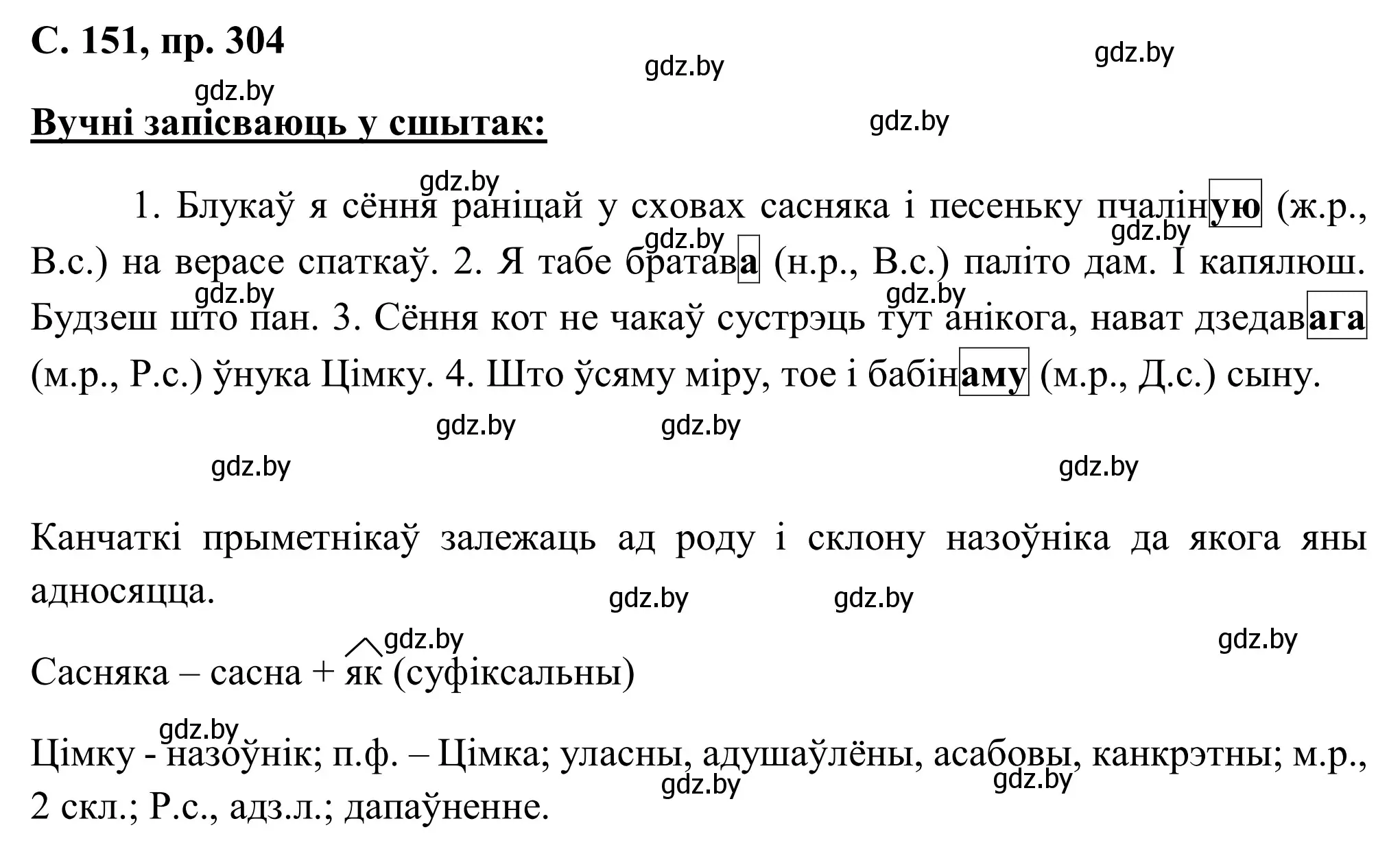 Решение номер 304 (страница 151) гдз по белорусскому языку 6 класс Валочка, Зелянко, учебник