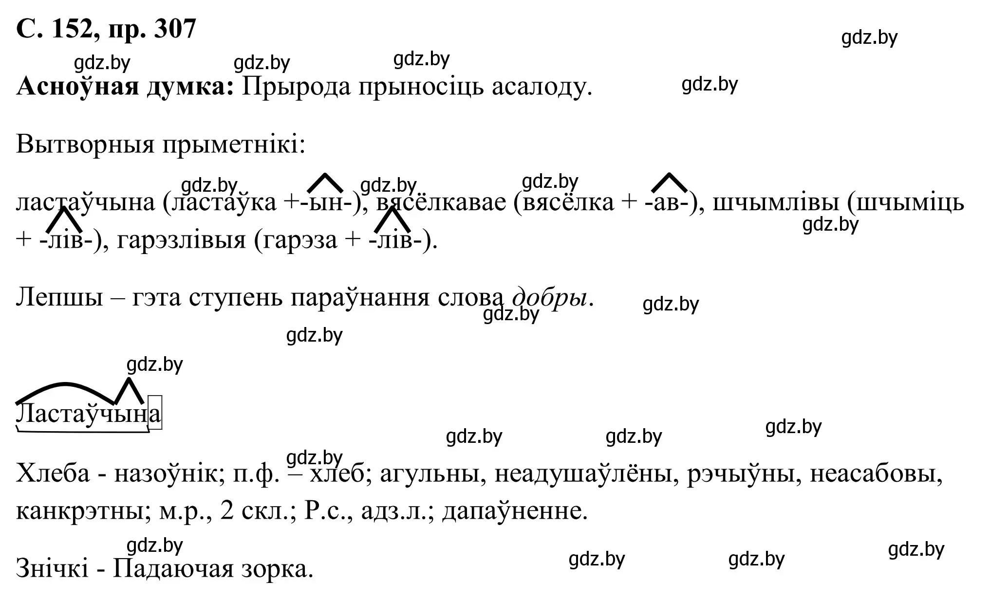 Решение номер 307 (страница 152) гдз по белорусскому языку 6 класс Валочка, Зелянко, учебник