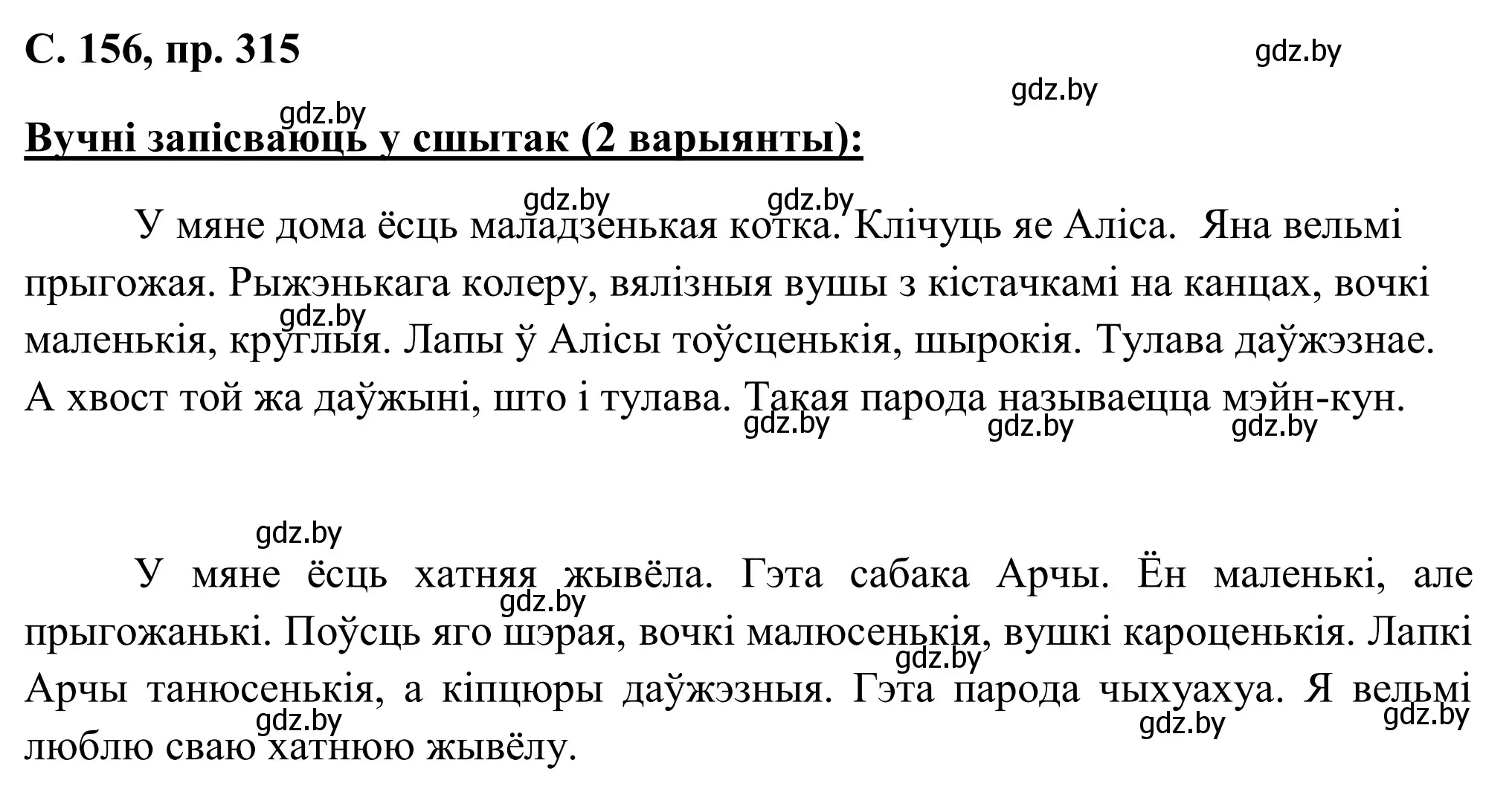 Решение номер 315 (страница 156) гдз по белорусскому языку 6 класс Валочка, Зелянко, учебник