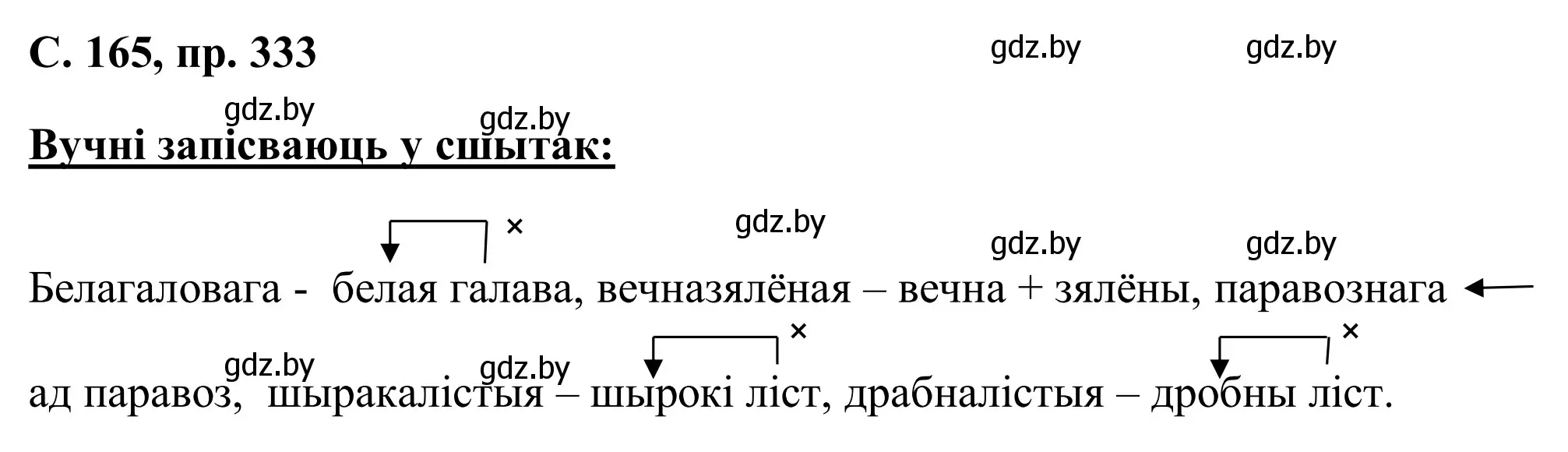 Решение номер 333 (страница 165) гдз по белорусскому языку 6 класс Валочка, Зелянко, учебник