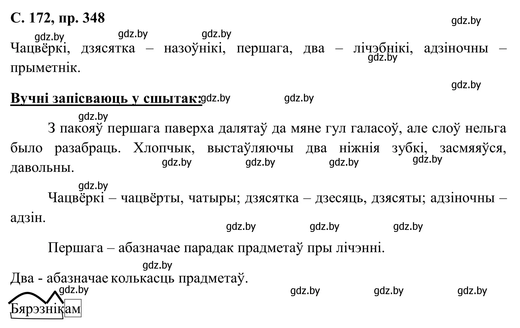 Решение номер 348 (страница 172) гдз по белорусскому языку 6 класс Валочка, Зелянко, учебник