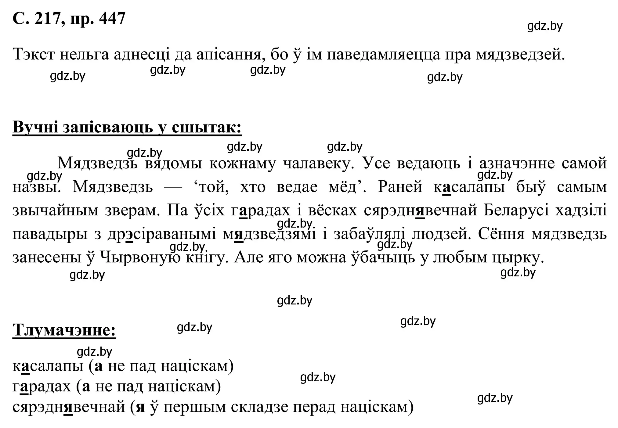 Решение номер 447 (страница 217) гдз по белорусскому языку 6 класс Валочка, Зелянко, учебник