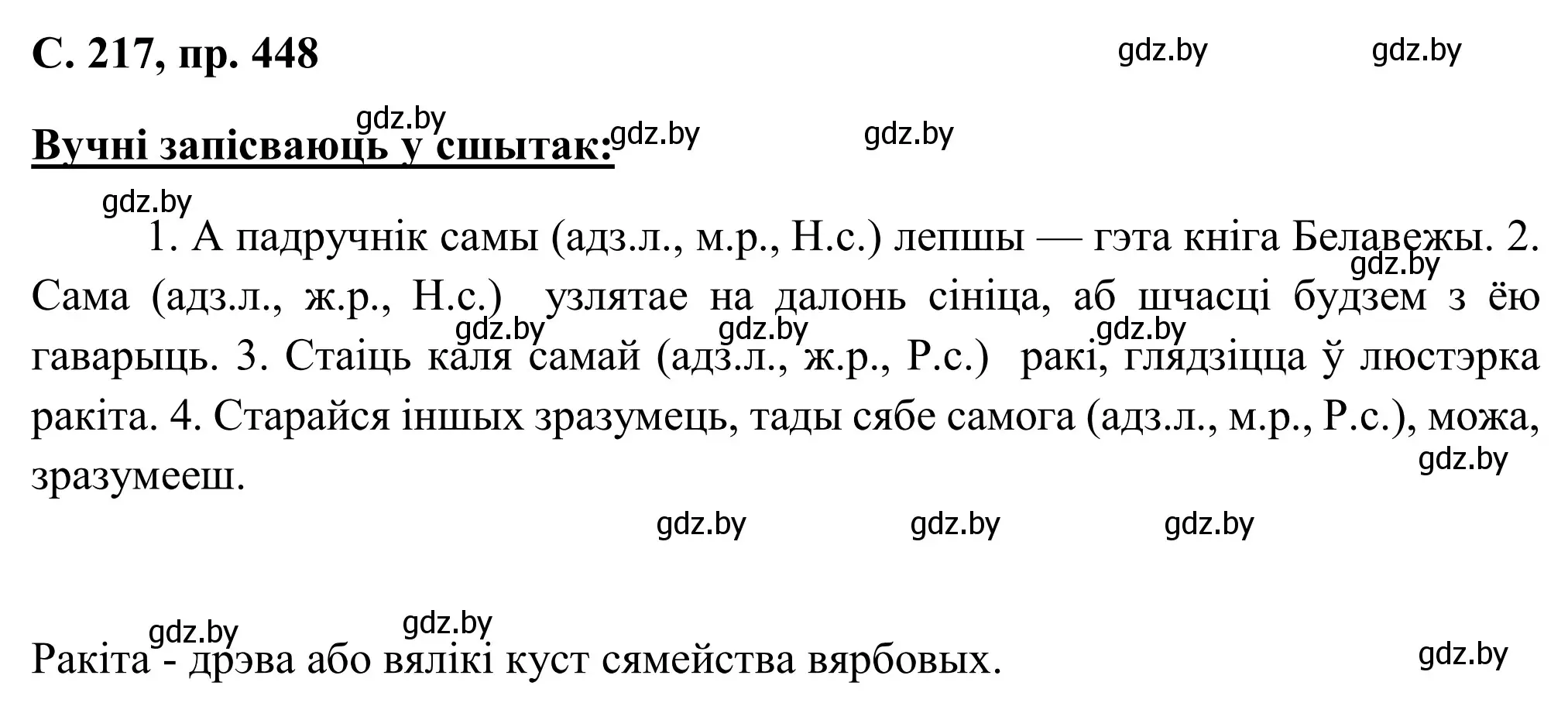 Решение номер 448 (страница 217) гдз по белорусскому языку 6 класс Валочка, Зелянко, учебник