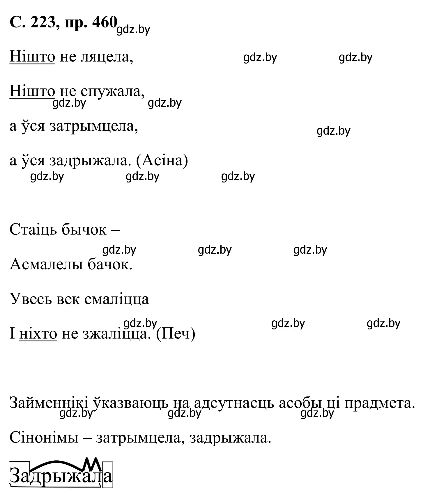 Решение номер 460 (страница 223) гдз по белорусскому языку 6 класс Валочка, Зелянко, учебник