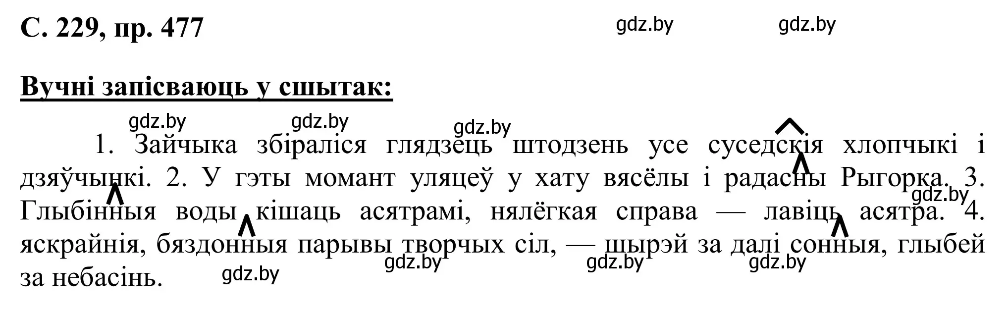 Решение номер 477 (страница 229) гдз по белорусскому языку 6 класс Валочка, Зелянко, учебник