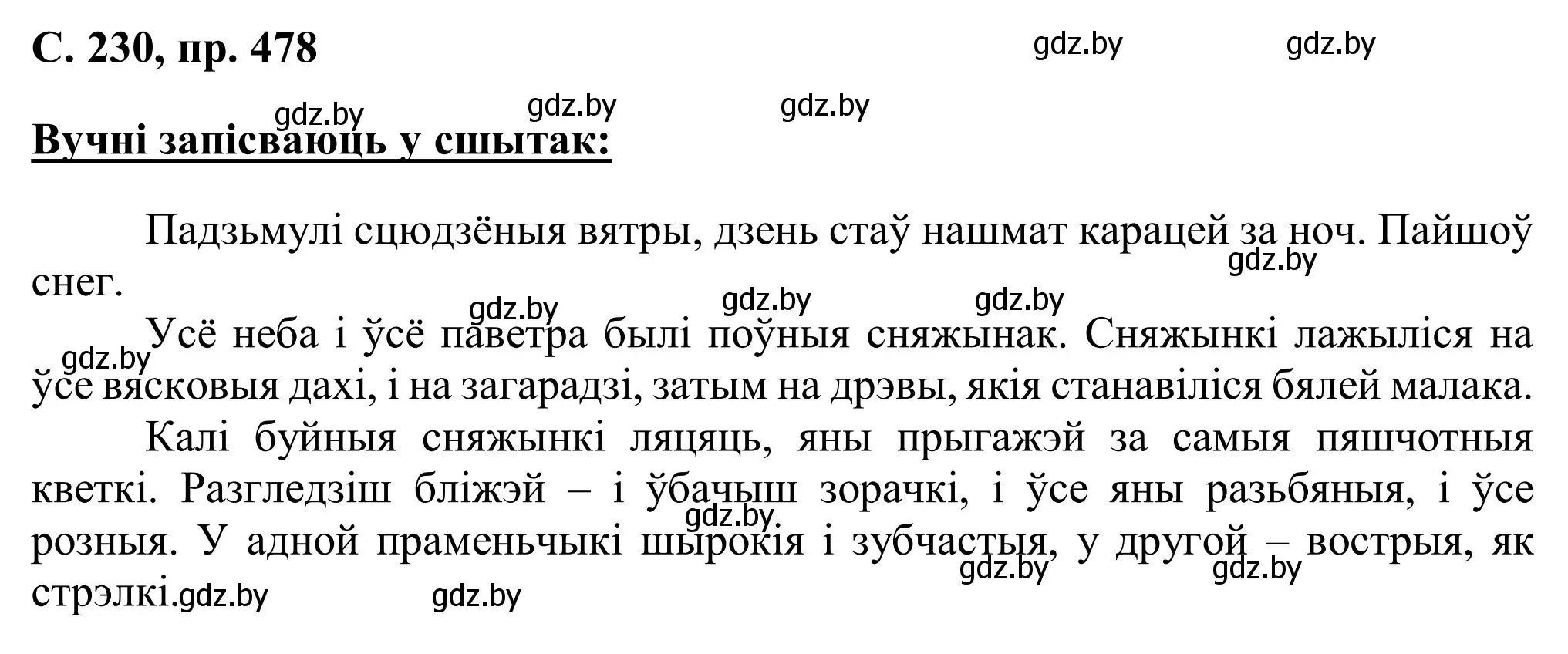 Решение номер 478 (страница 230) гдз по белорусскому языку 6 класс Валочка, Зелянко, учебник