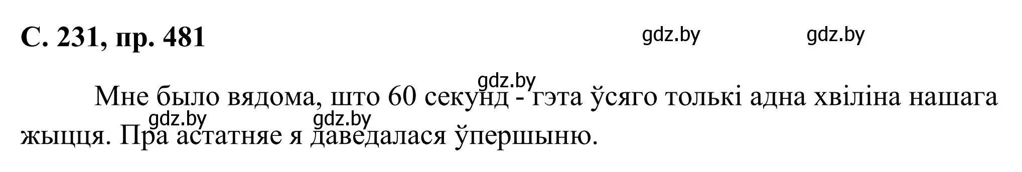 Решение номер 481 (страница 231) гдз по белорусскому языку 6 класс Валочка, Зелянко, учебник