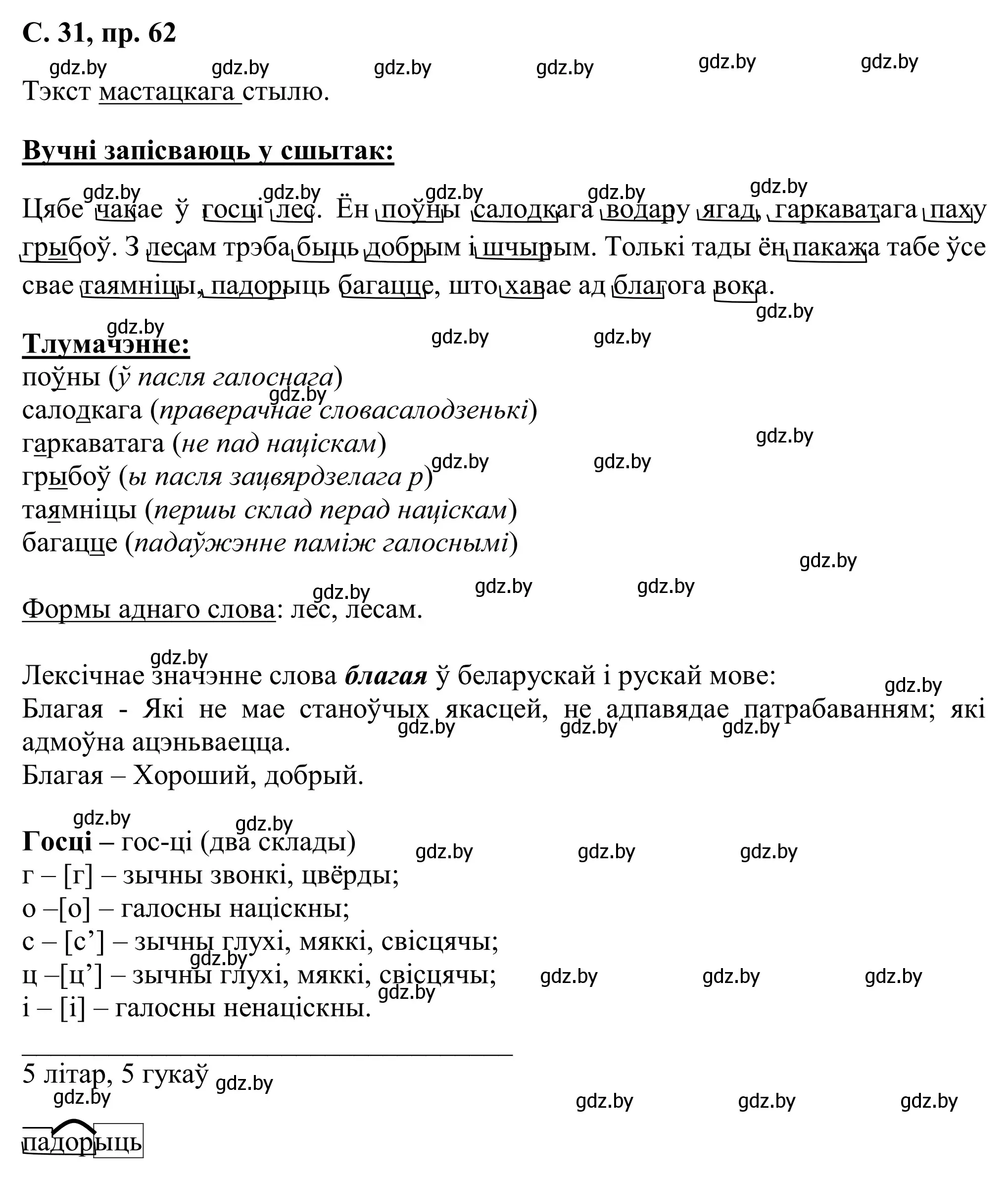 Решение номер 62 (страница 31) гдз по белорусскому языку 6 класс Валочка, Зелянко, учебник