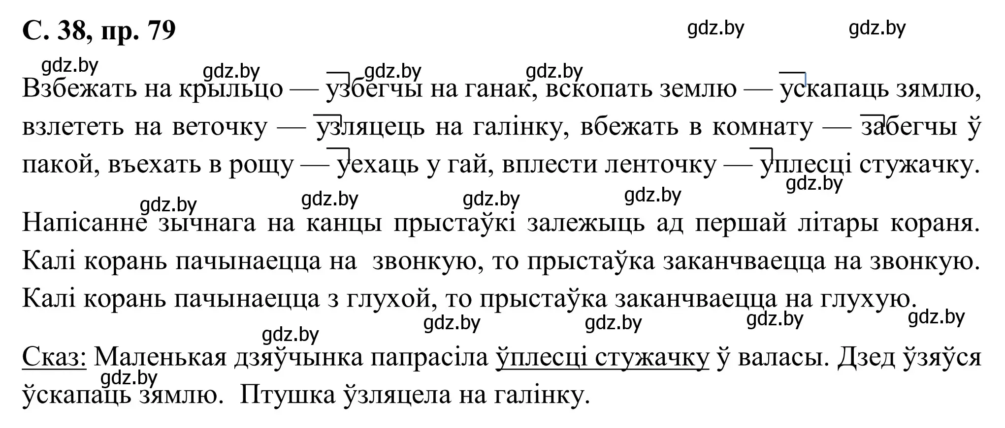 Решение номер 79 (страница 38) гдз по белорусскому языку 6 класс Валочка, Зелянко, учебник